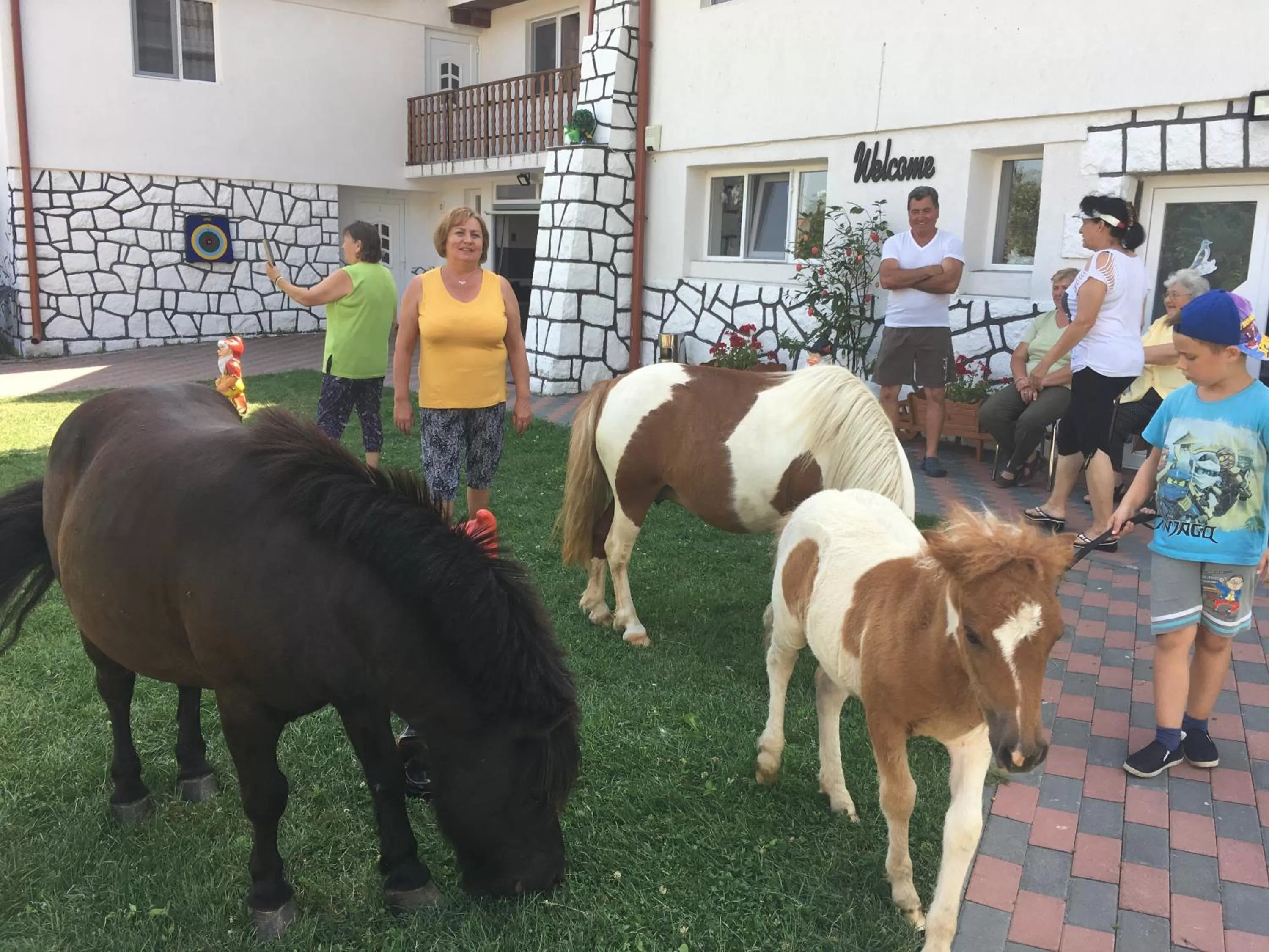 Property building in Pensiunea SilvAnka