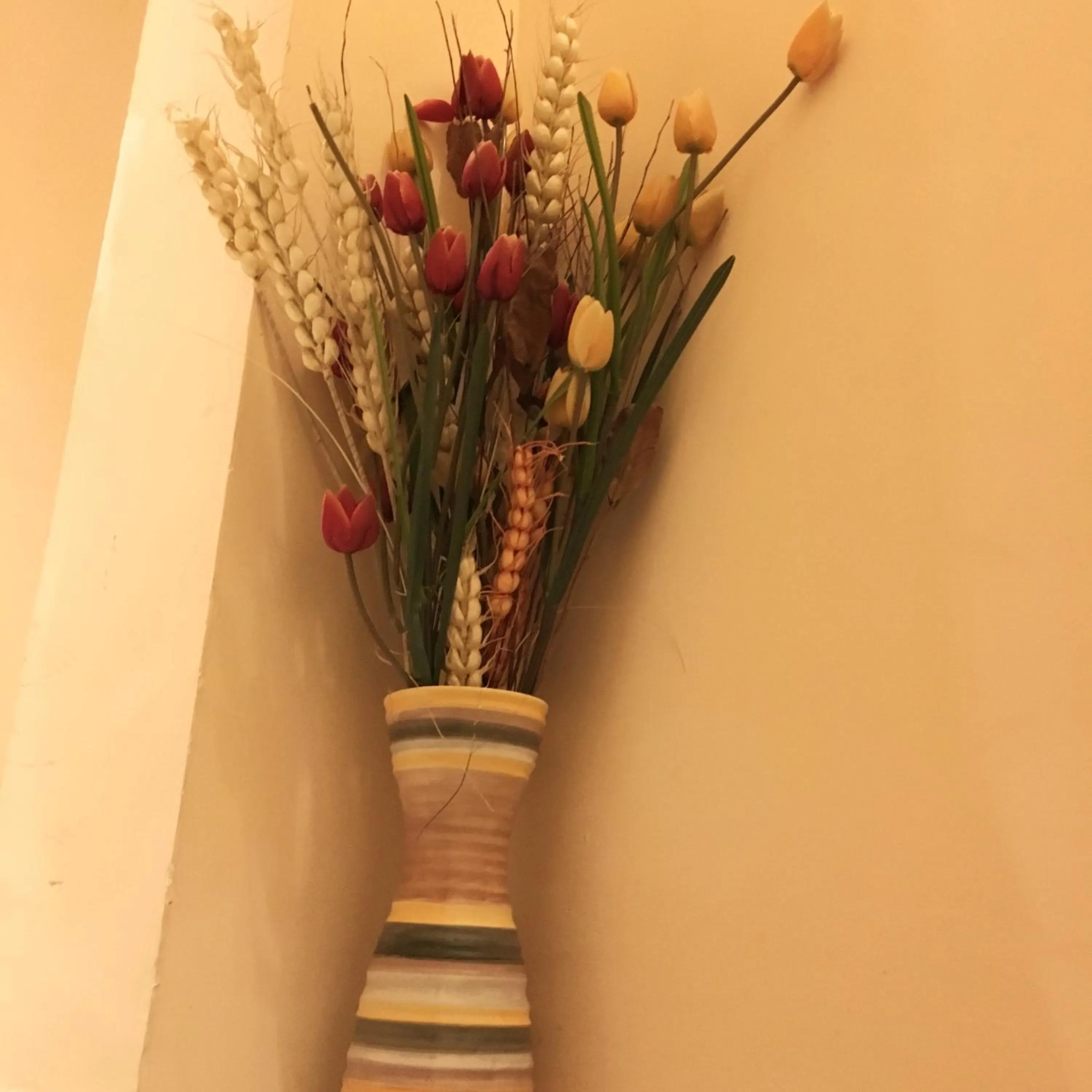 Area and facilities in Hotel Fiorenza