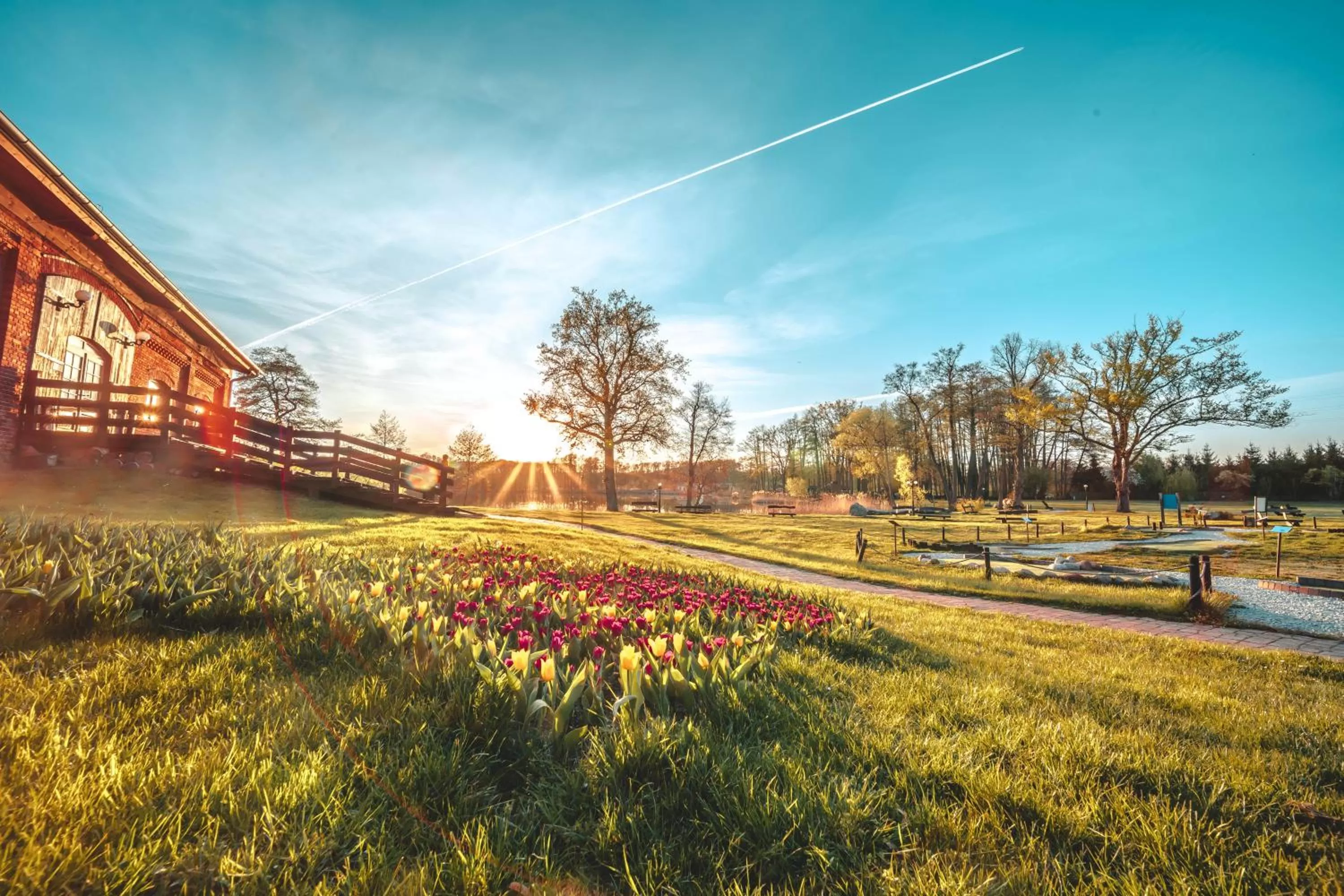 Garden view in Olandia