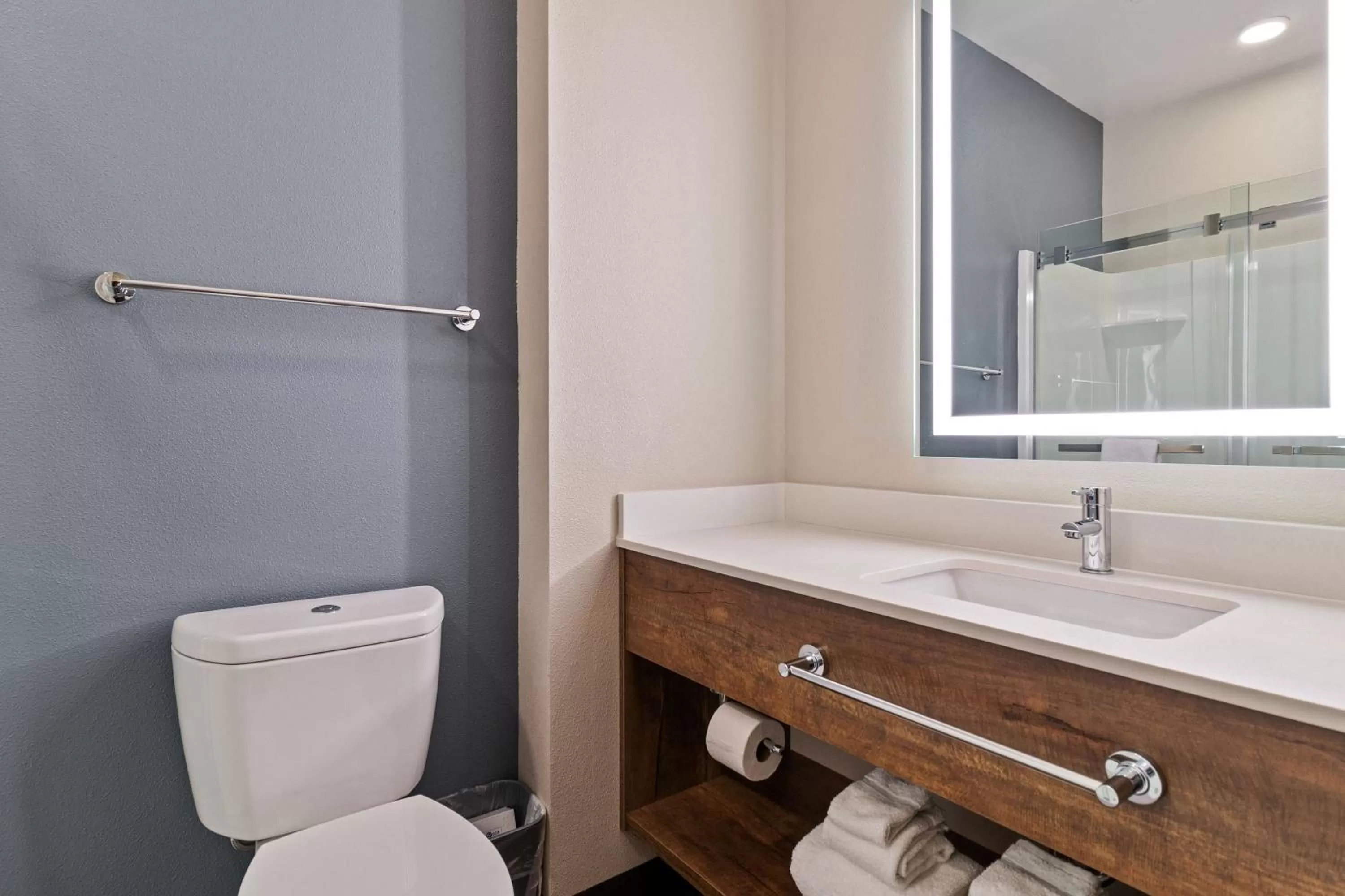 Bathroom in Extended Stay America Premier Suites - Port Charlotte - I-75
