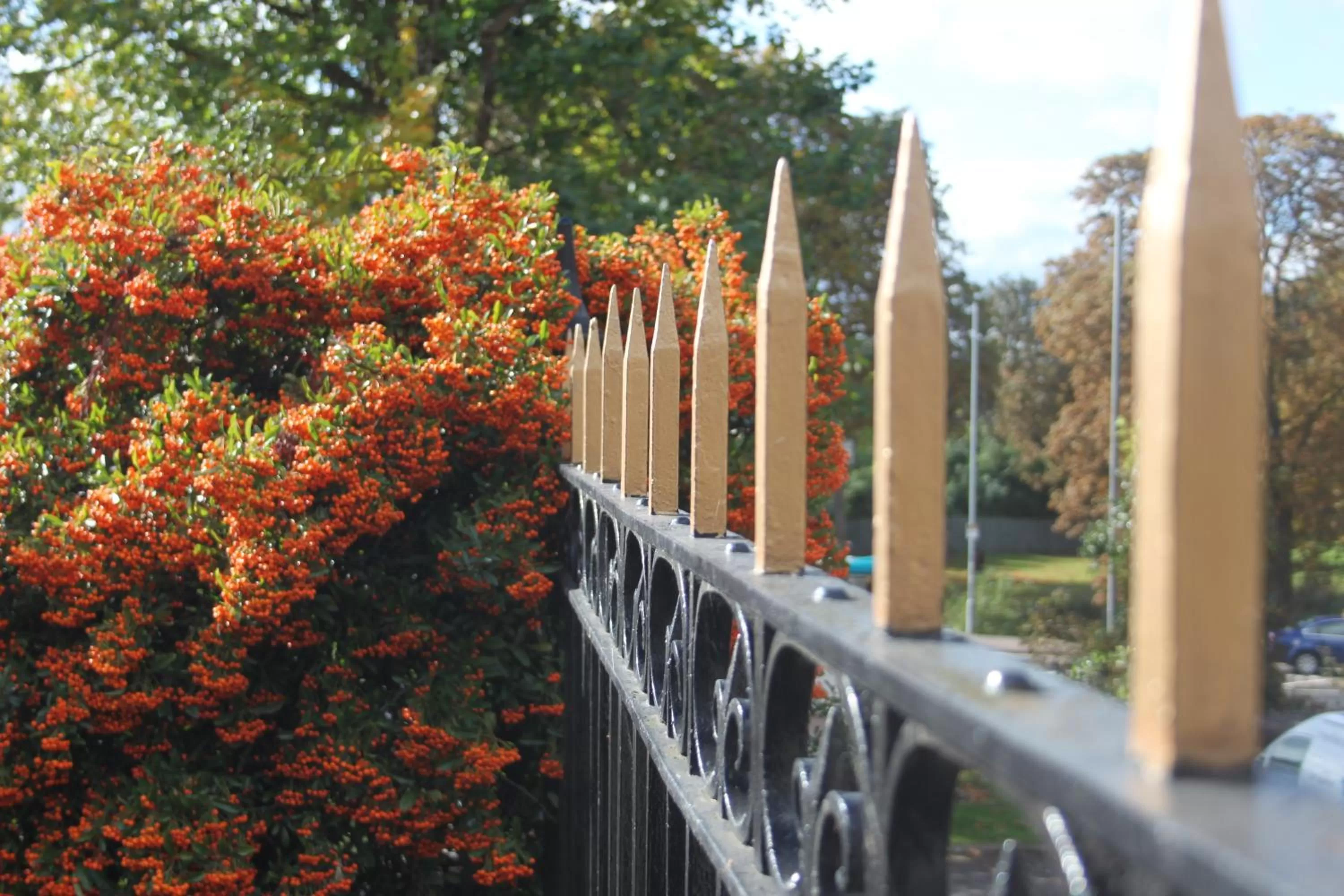 Area and facilities in Leaside Hotel