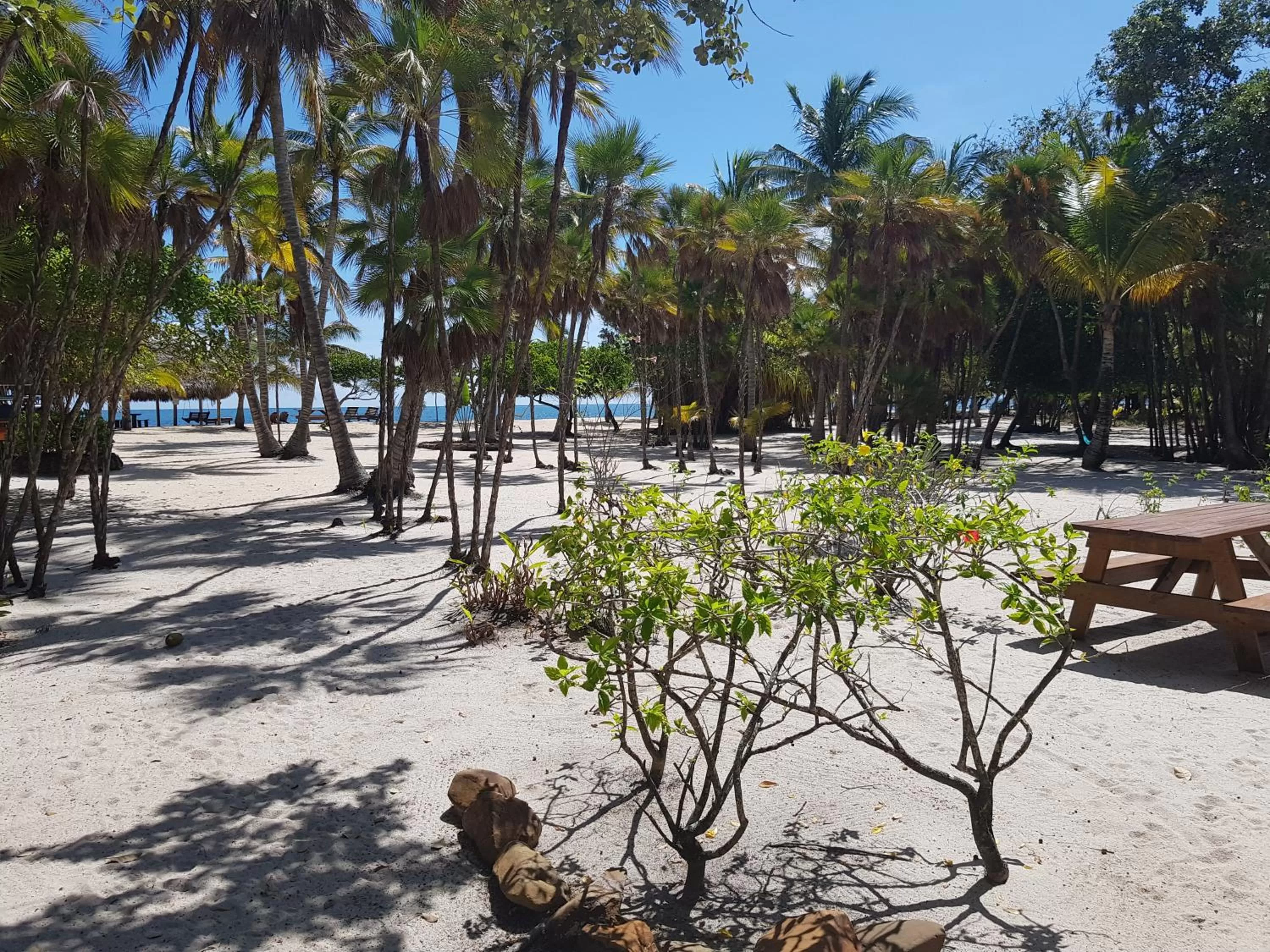 Property building, Beach in Wild Orchid