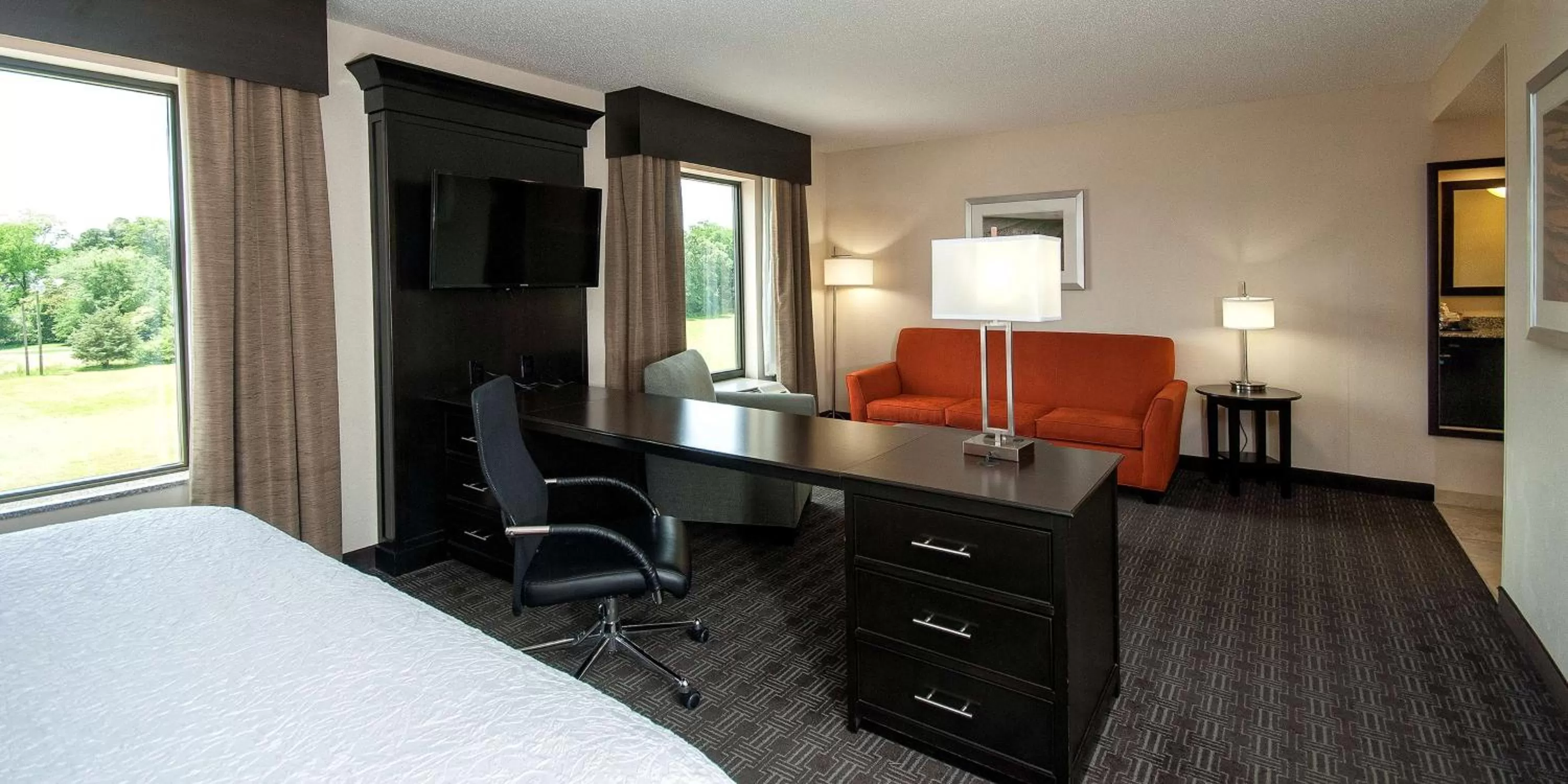 King Studio - Hearing Accessible  in Hampton Inn & Suites Seneca-Clemson Area