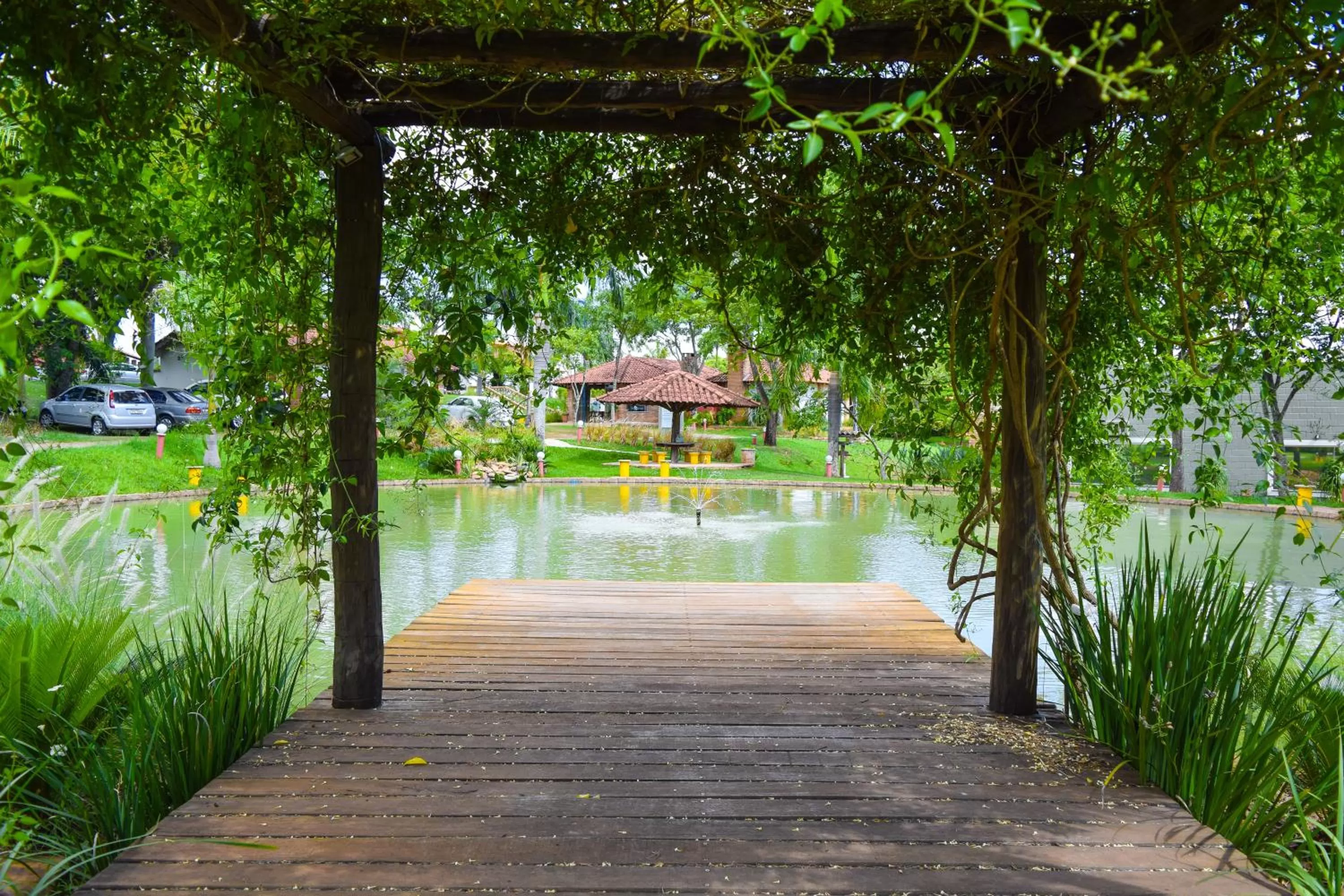 Natural landscape in HOTEL ABAPORU