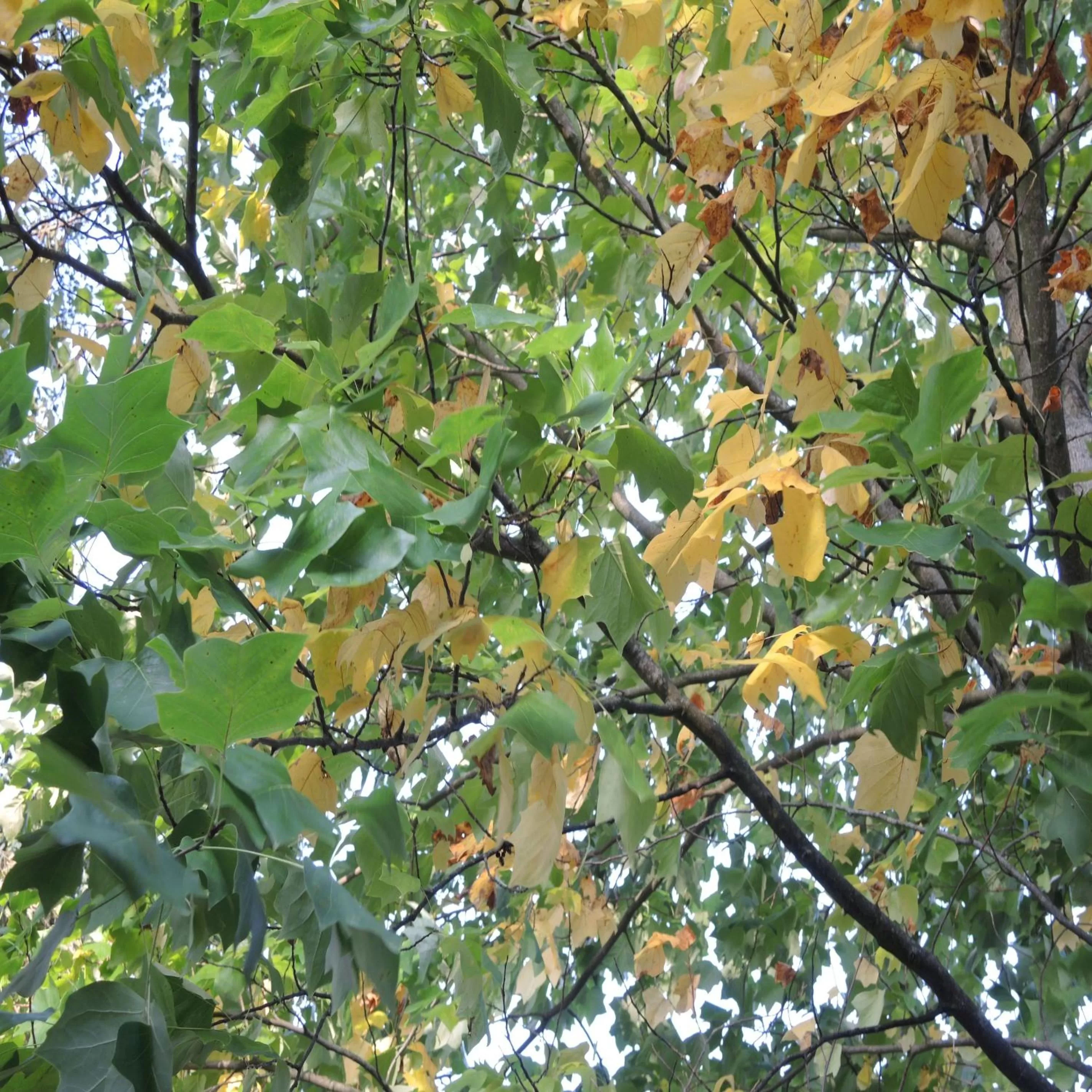 Autumn in Usedom Bike Hotel & Suites