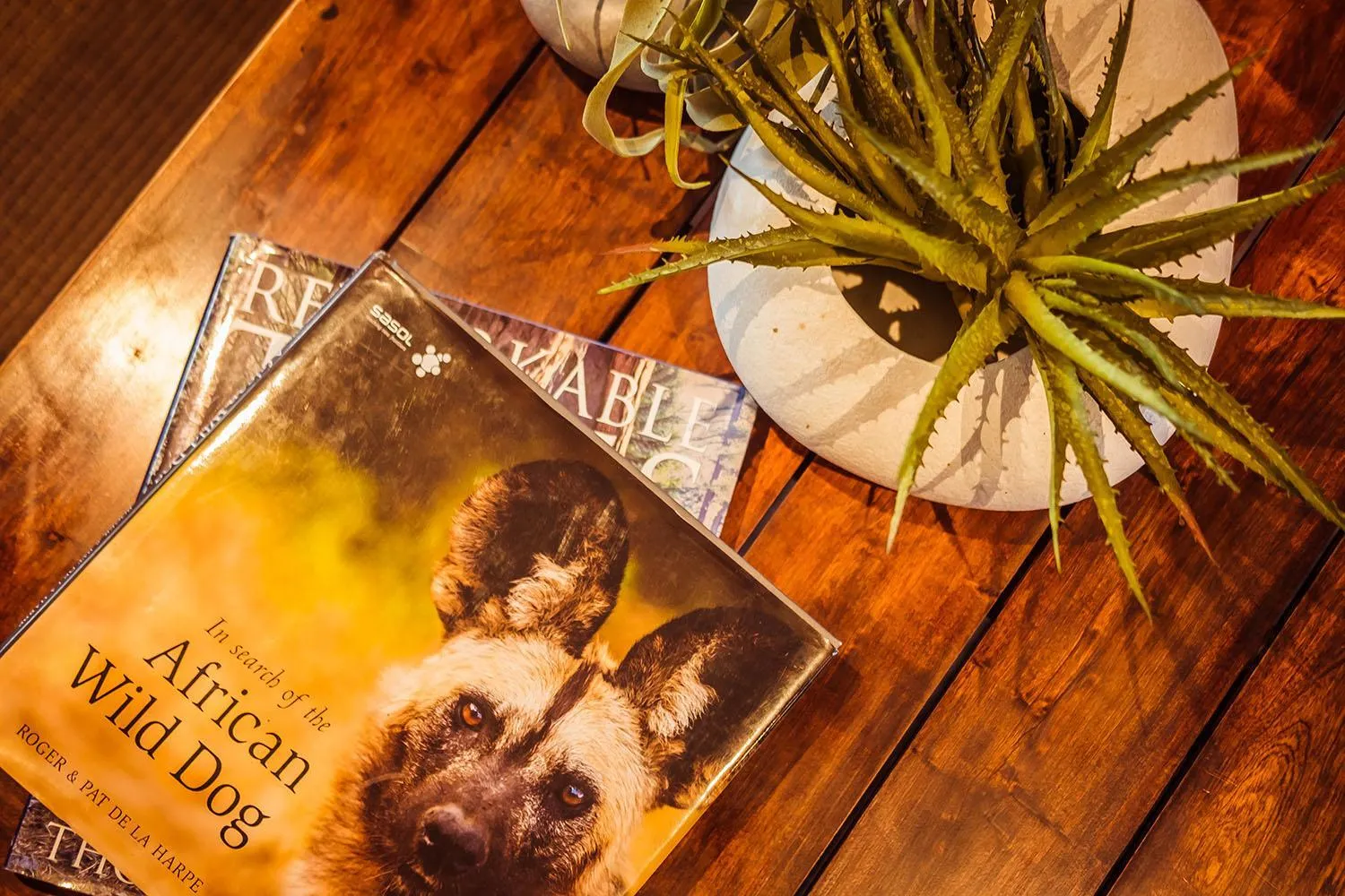 Lobby or reception in Bushveld Terrace Safari Hotel, Lodge & Spa