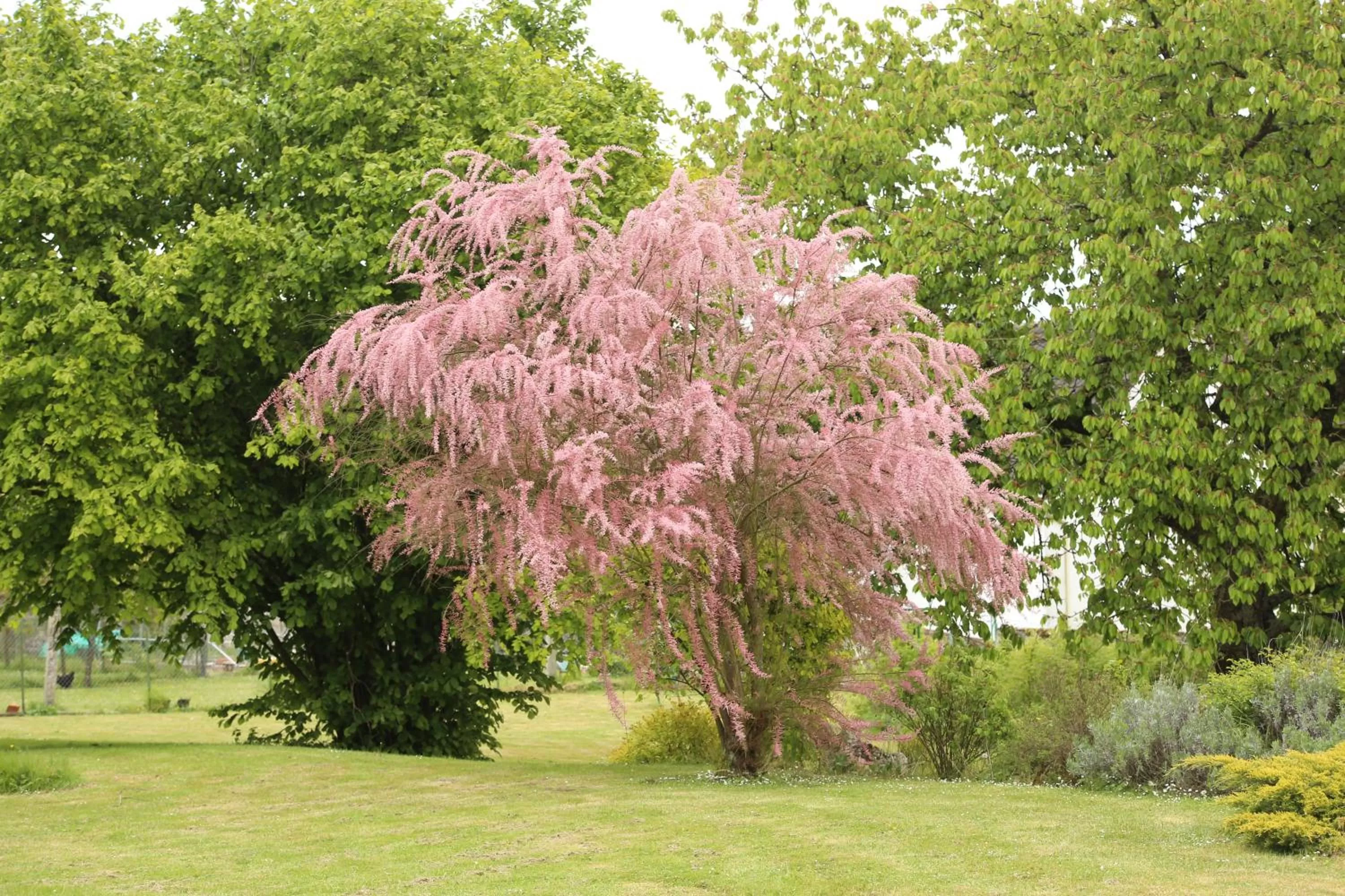 Property building in Les Rêves de Flamboin