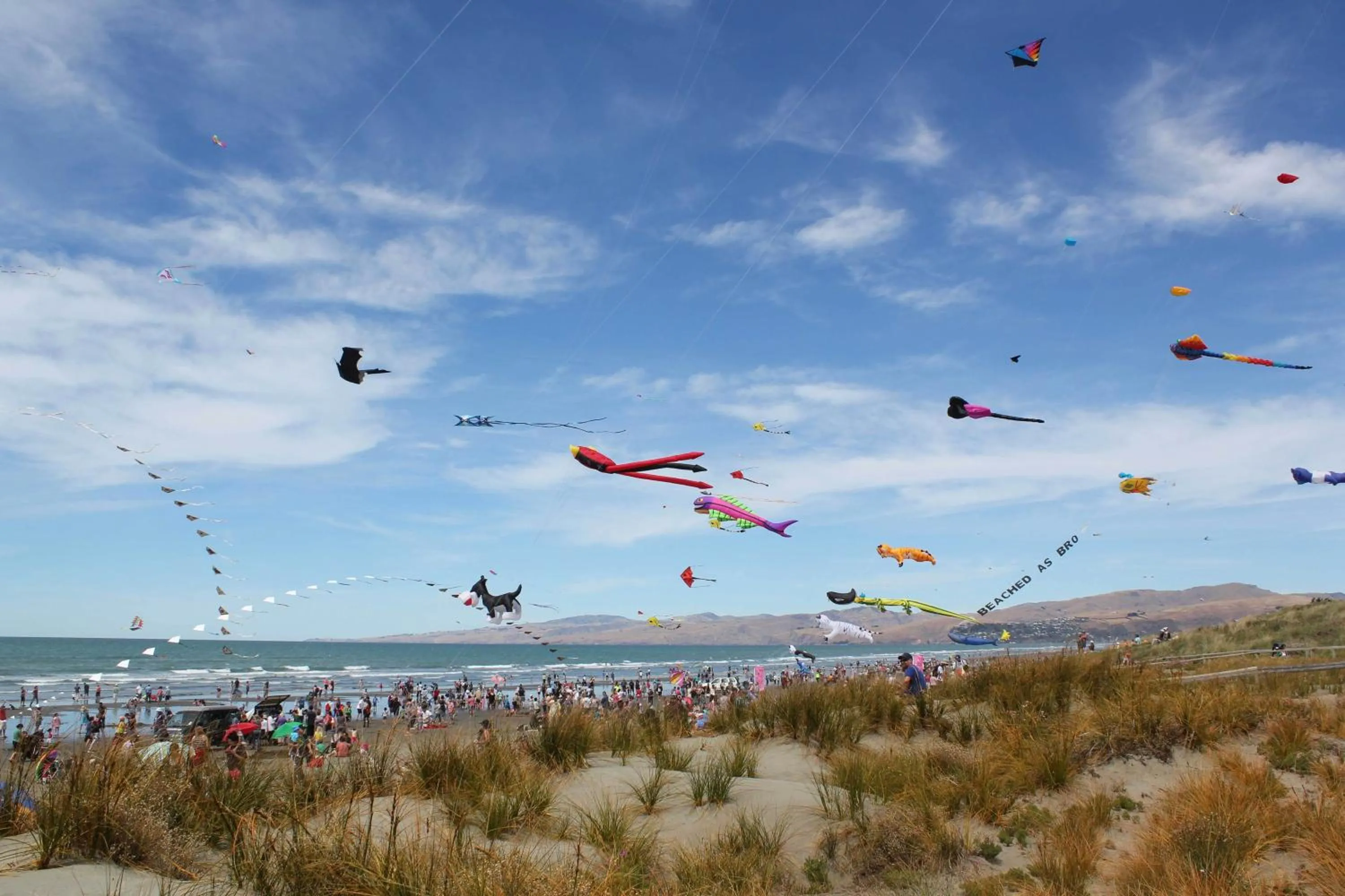 Spring in Point Break Backpackers