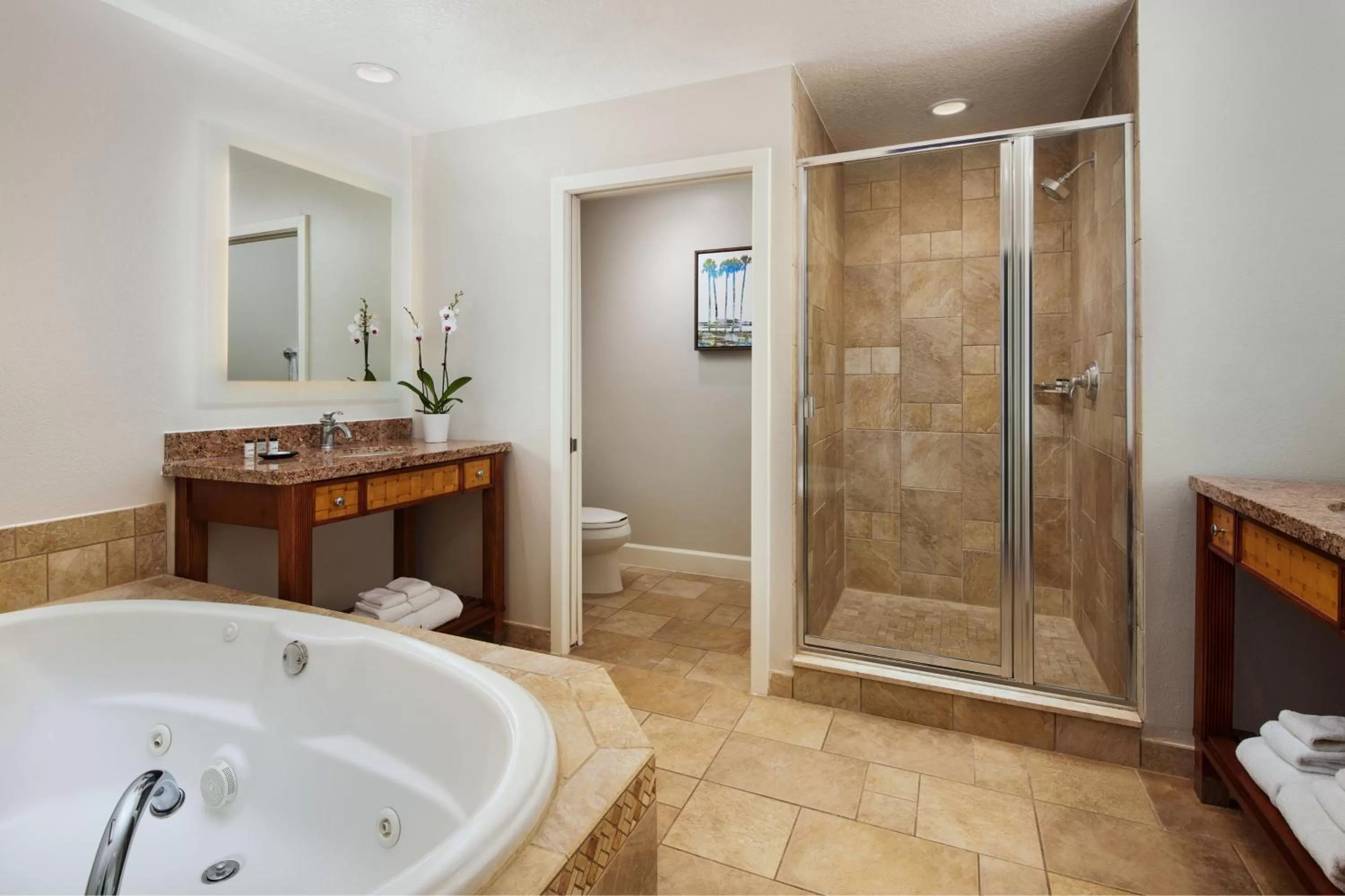 Bathroom in Sheraton Vistana Villages Resort Villas, I-Drive Orlando