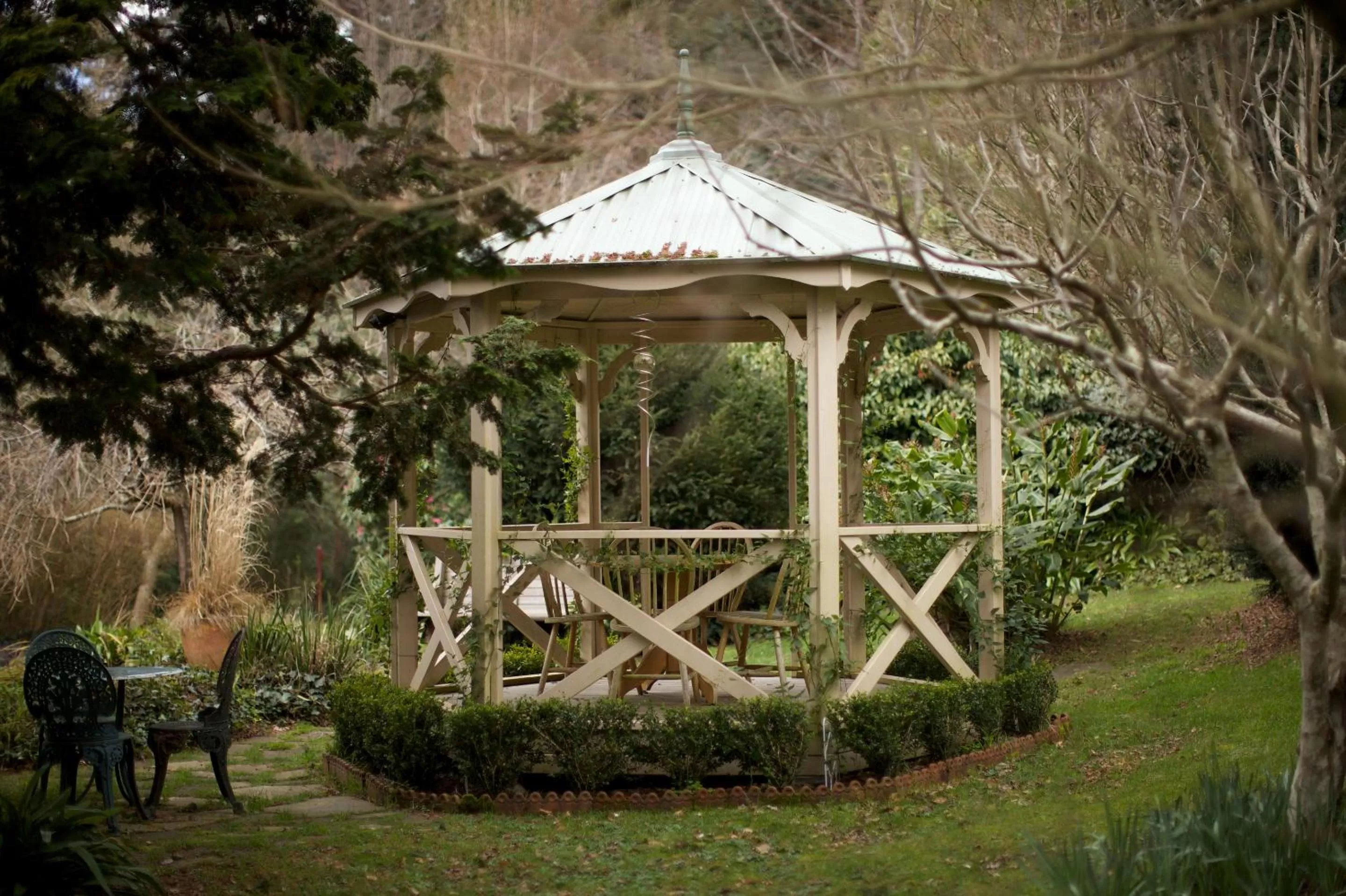 Garden in Arcadia Cottages