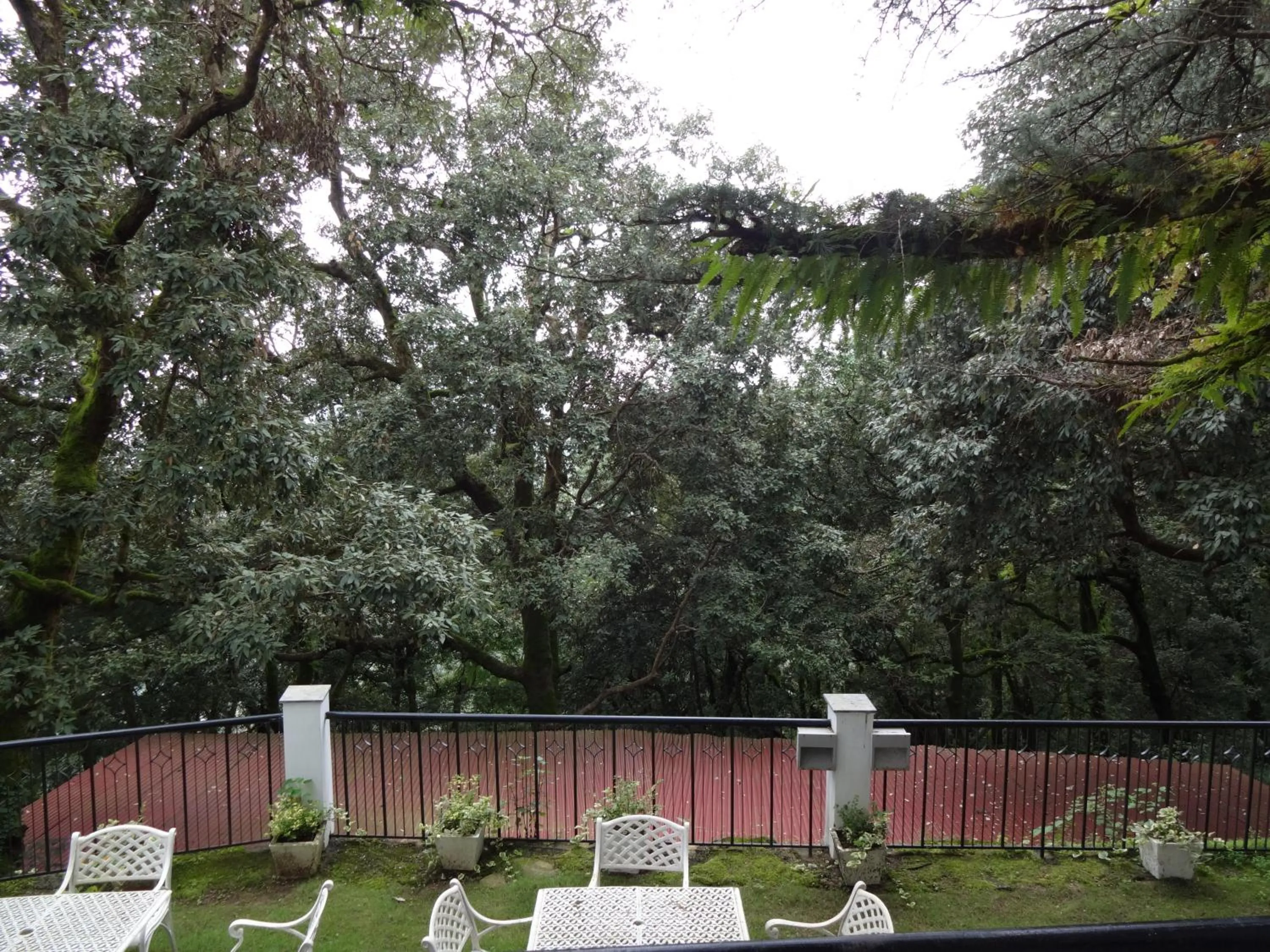 Day in The Claridges Nabha Residence