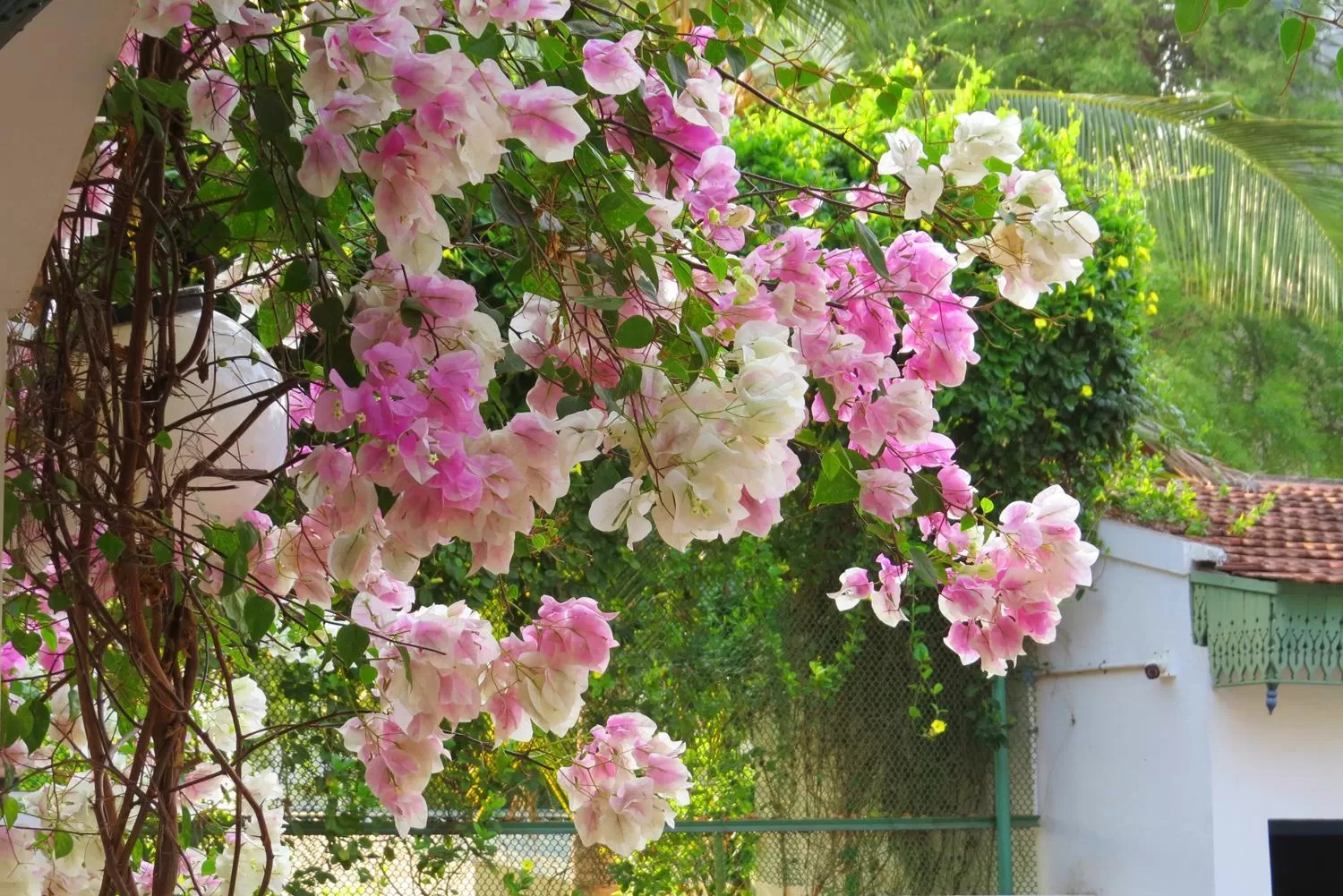 The Bangala Chettinad