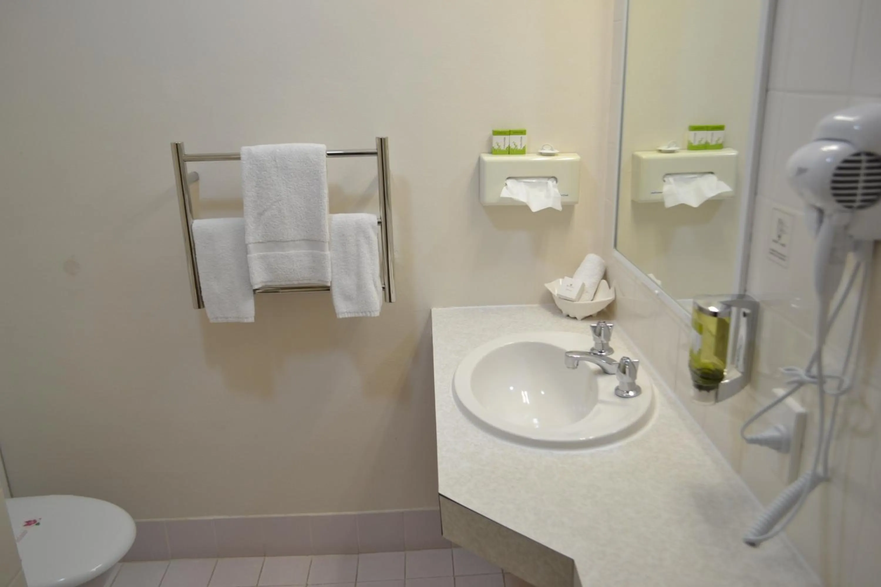 Bathroom in Tamworth Motor Inn & Cabins