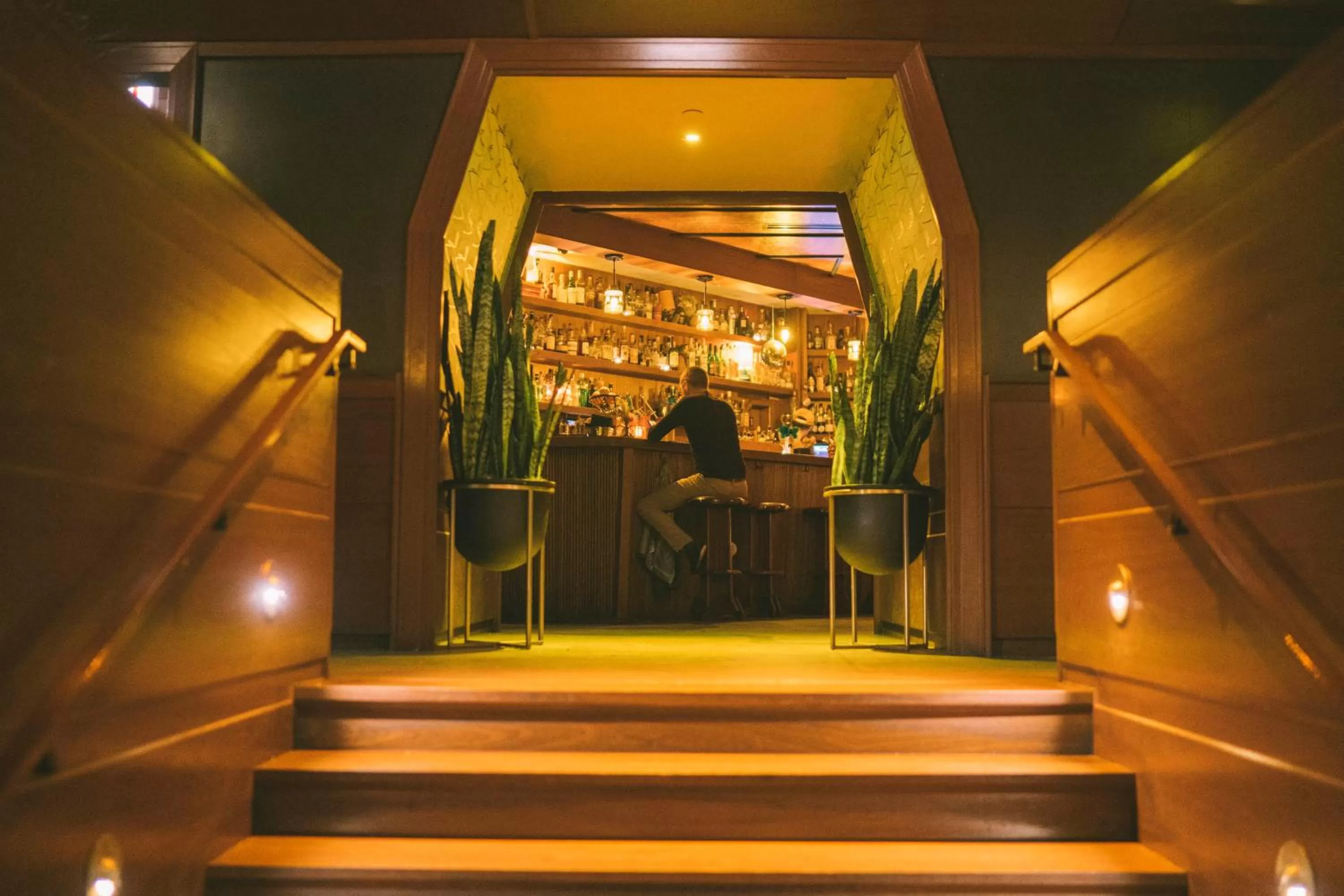 Lounge or bar in Freehand Chicago