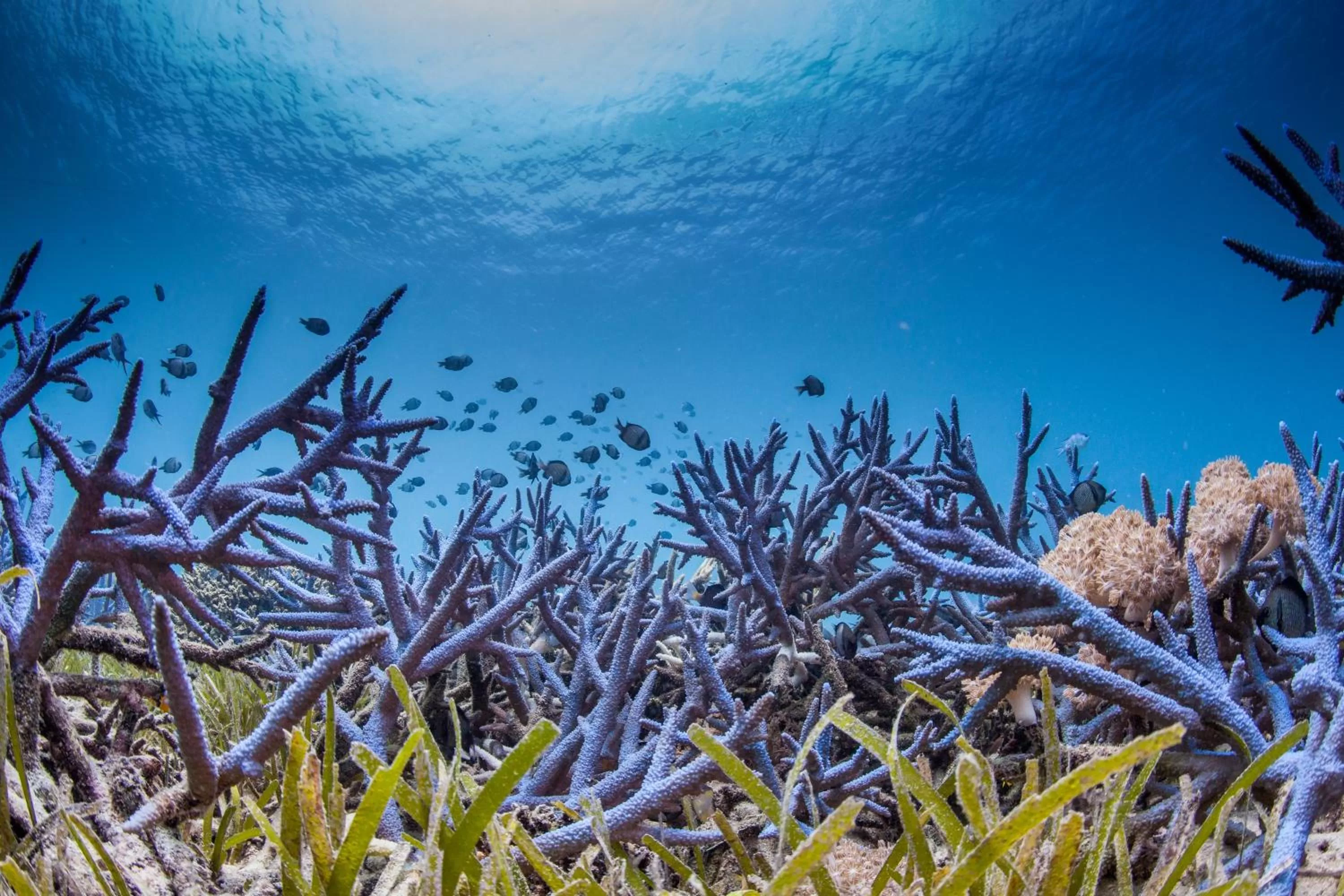 Activities in Donatela Resort and Sanctuary