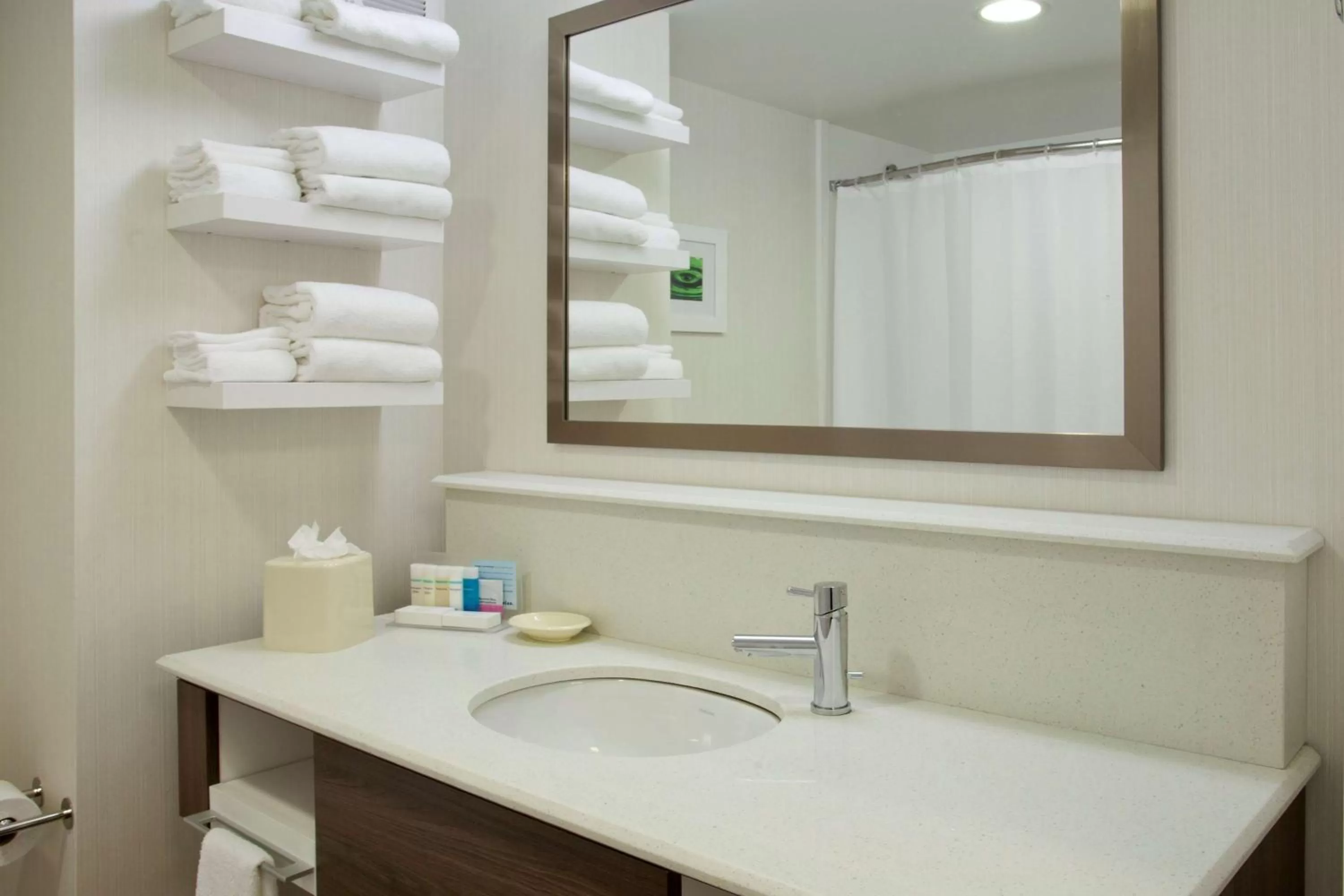 Bathroom in Hampton Inn & Suites - Minneapolis/Downtown