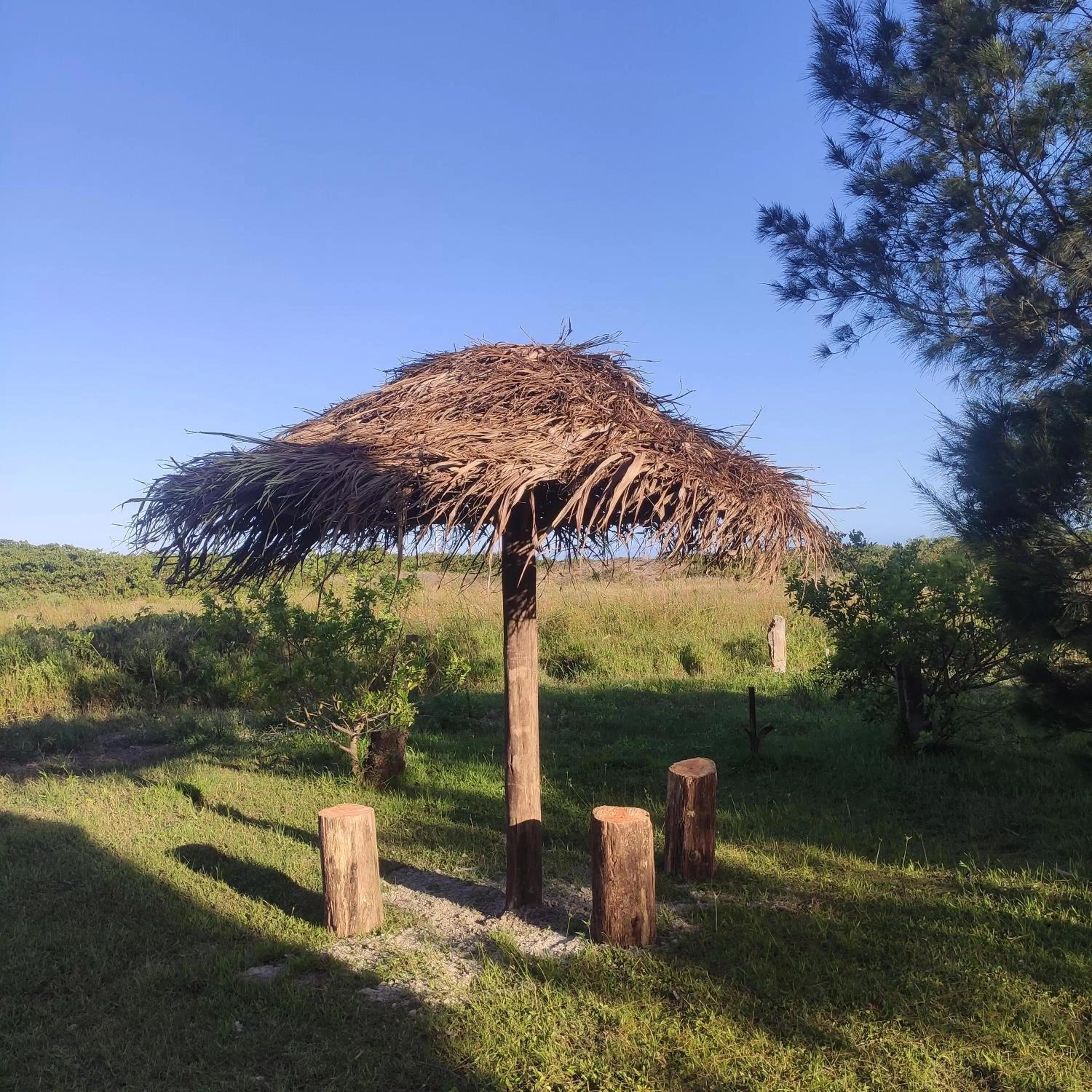 Garden view in Pousada Pegadas na Areia