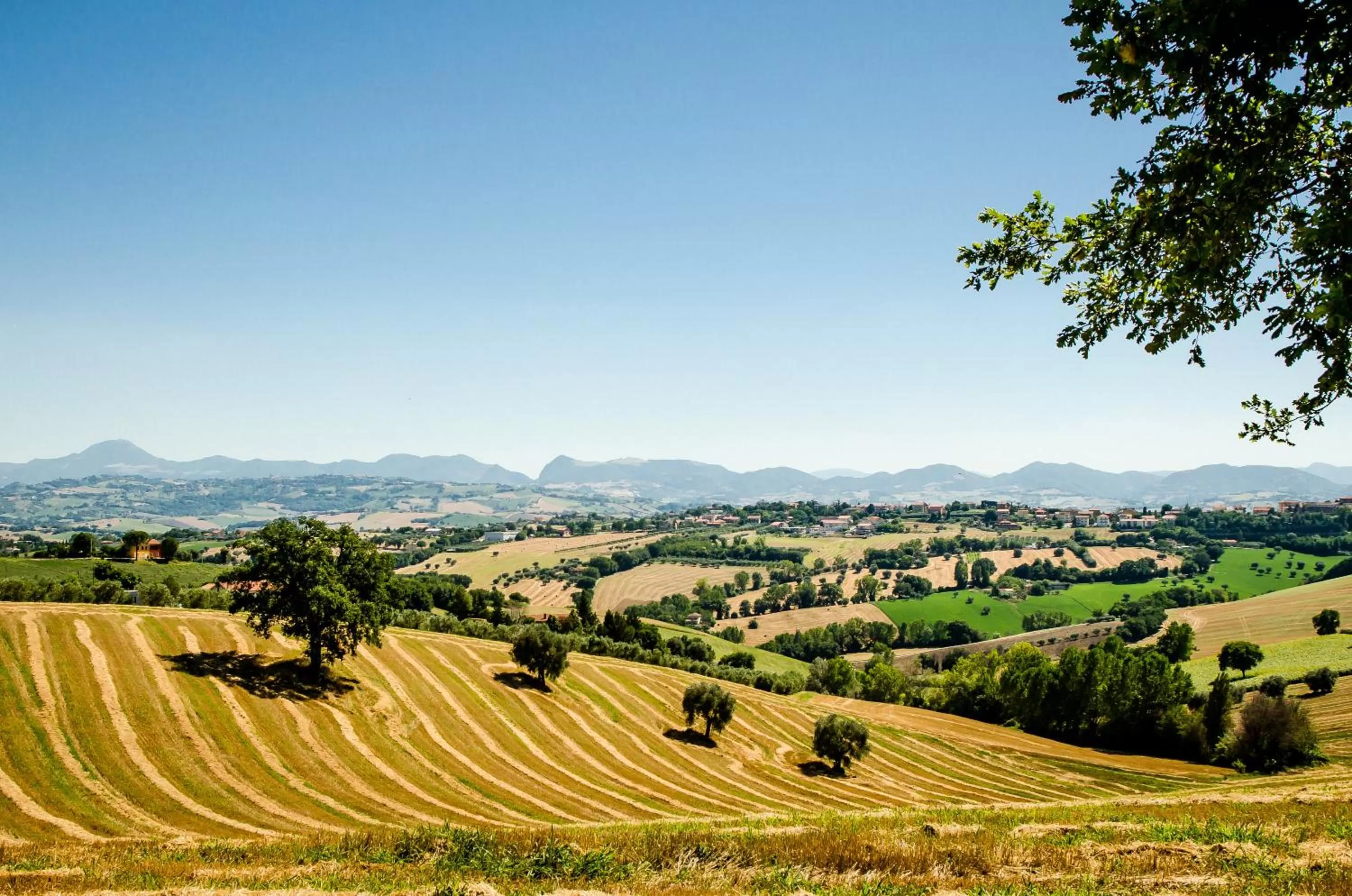 Natural landscape in CasaVostra - Ambience Suites