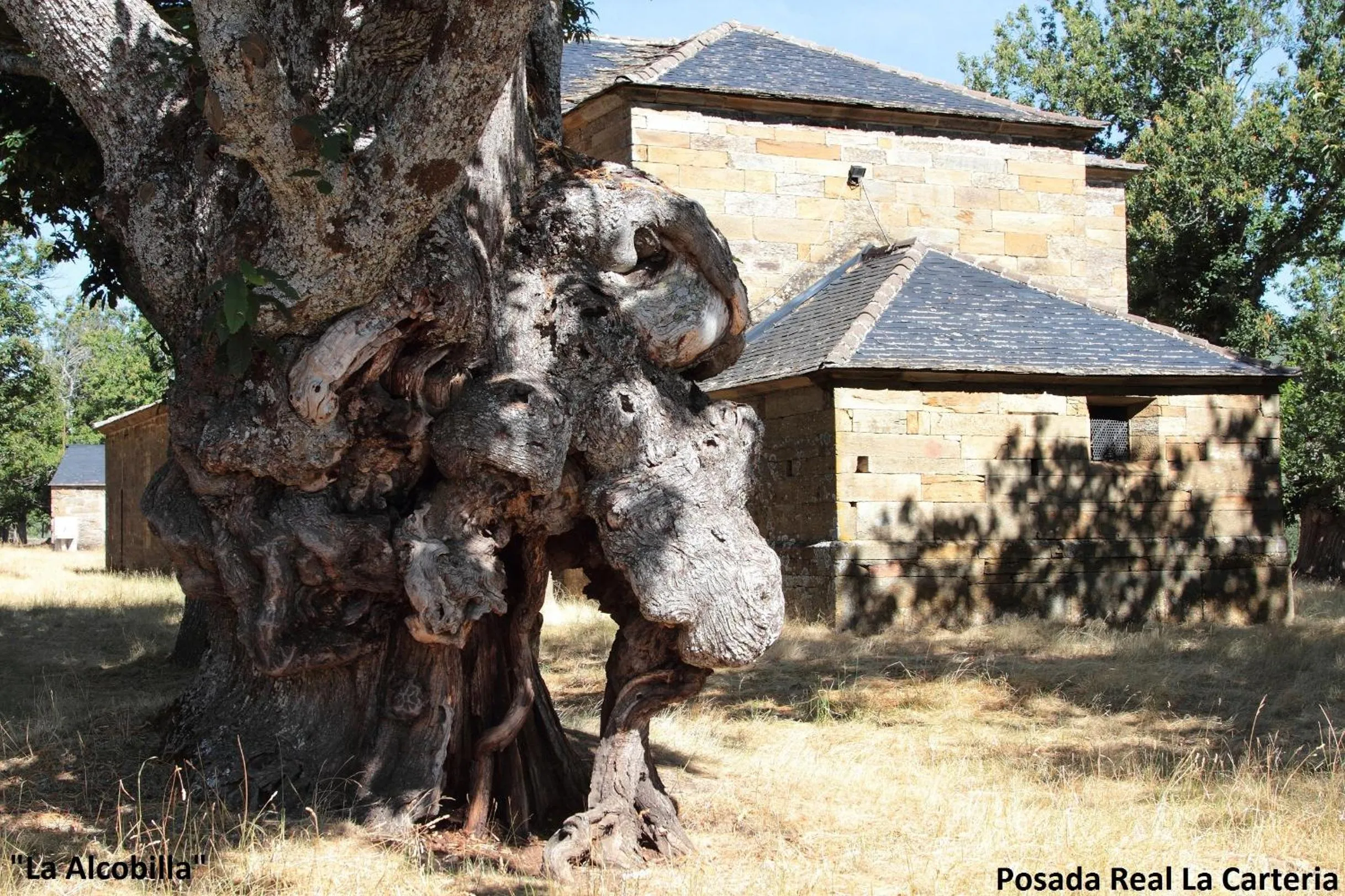 Area and facilities in Posada Real La Carteria