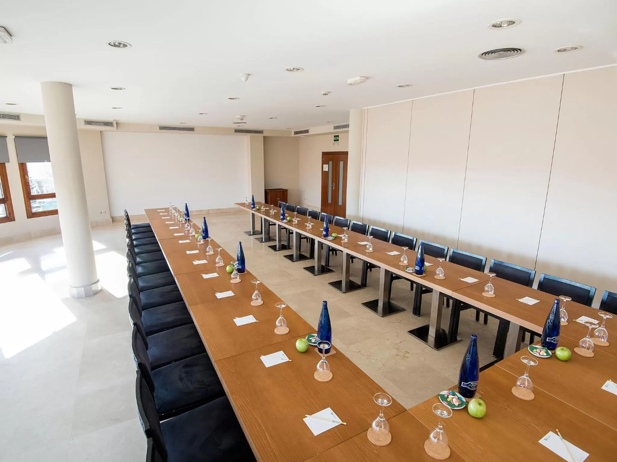 Business facilities in Hotel Plaza Las Matas