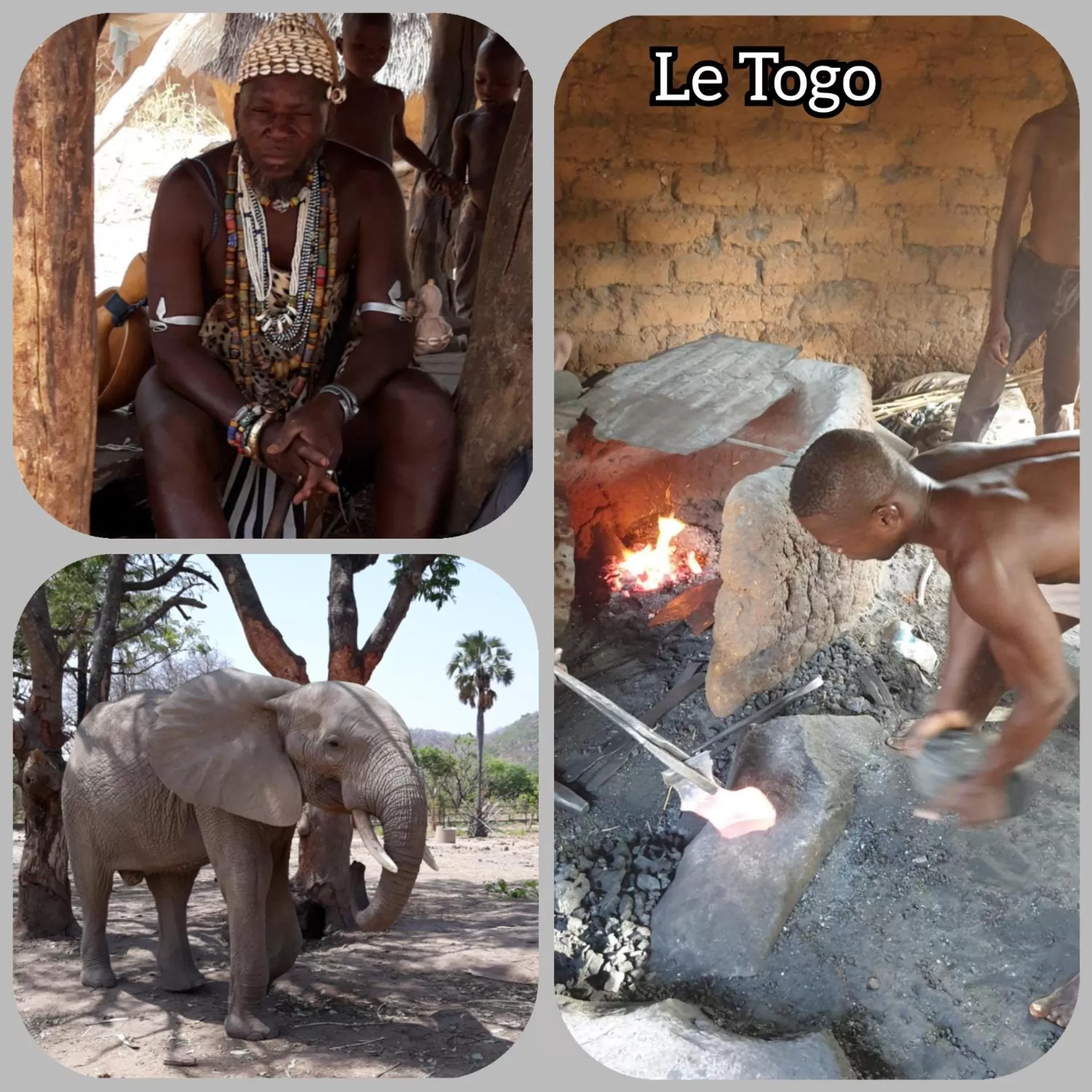 Activities in CASE de ROBINSON