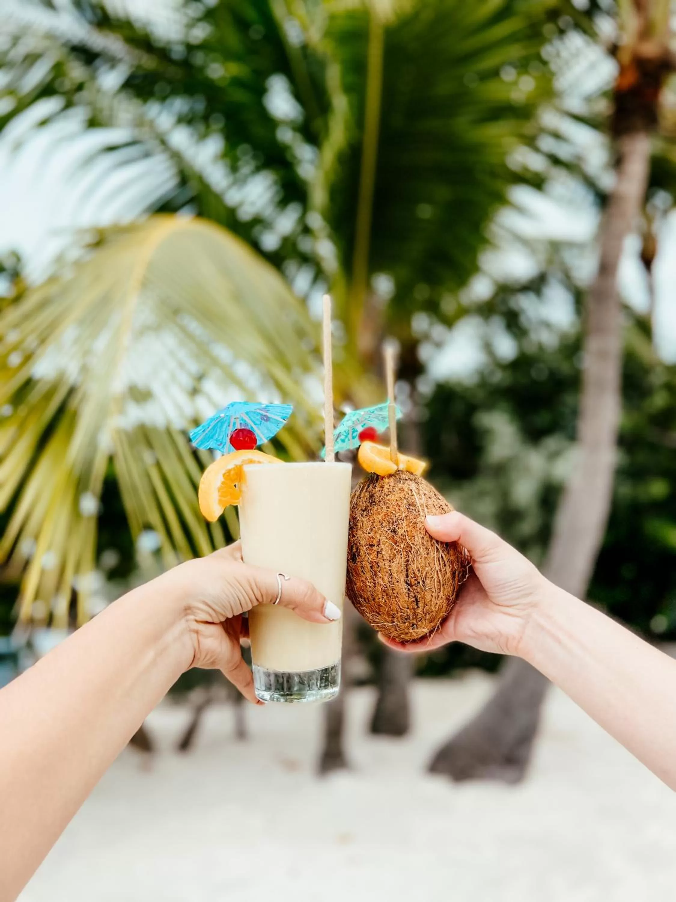 Drinks in Bayside Inn Key Largo