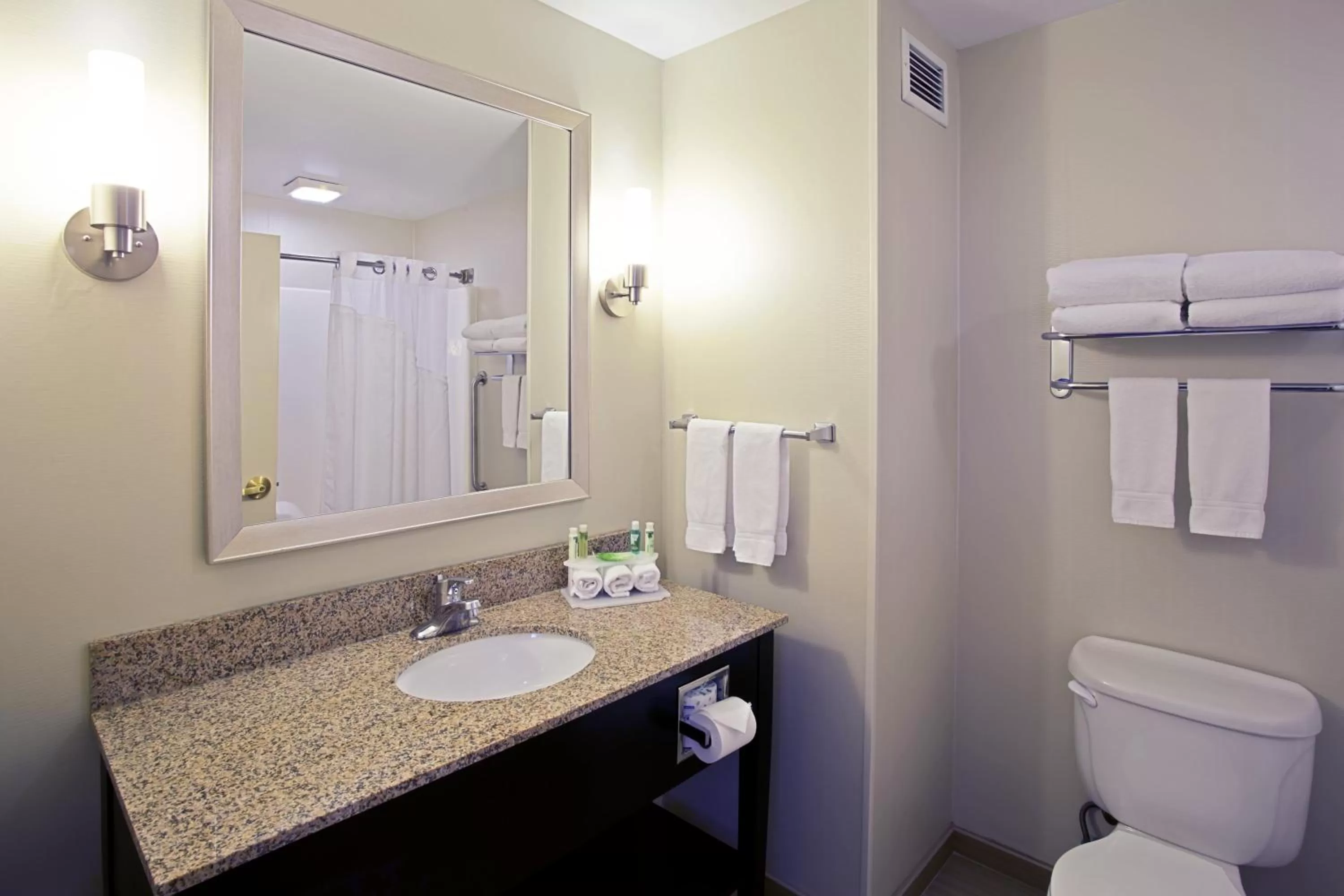 Bathroom in Holiday Inn Express Hotel & Suites Grand Rapids-North by IHG