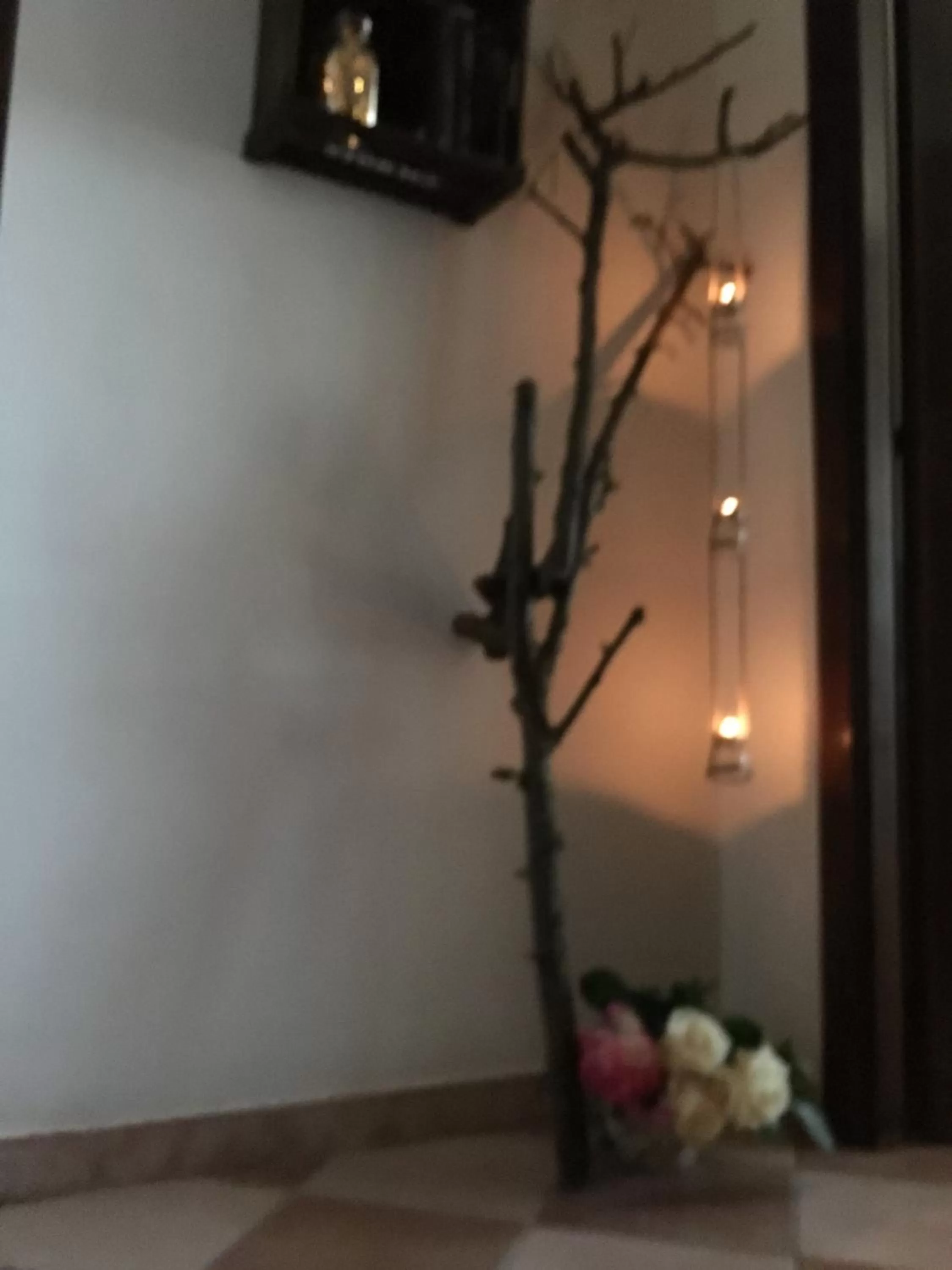 Rossella alla Villarella dei Tulipani