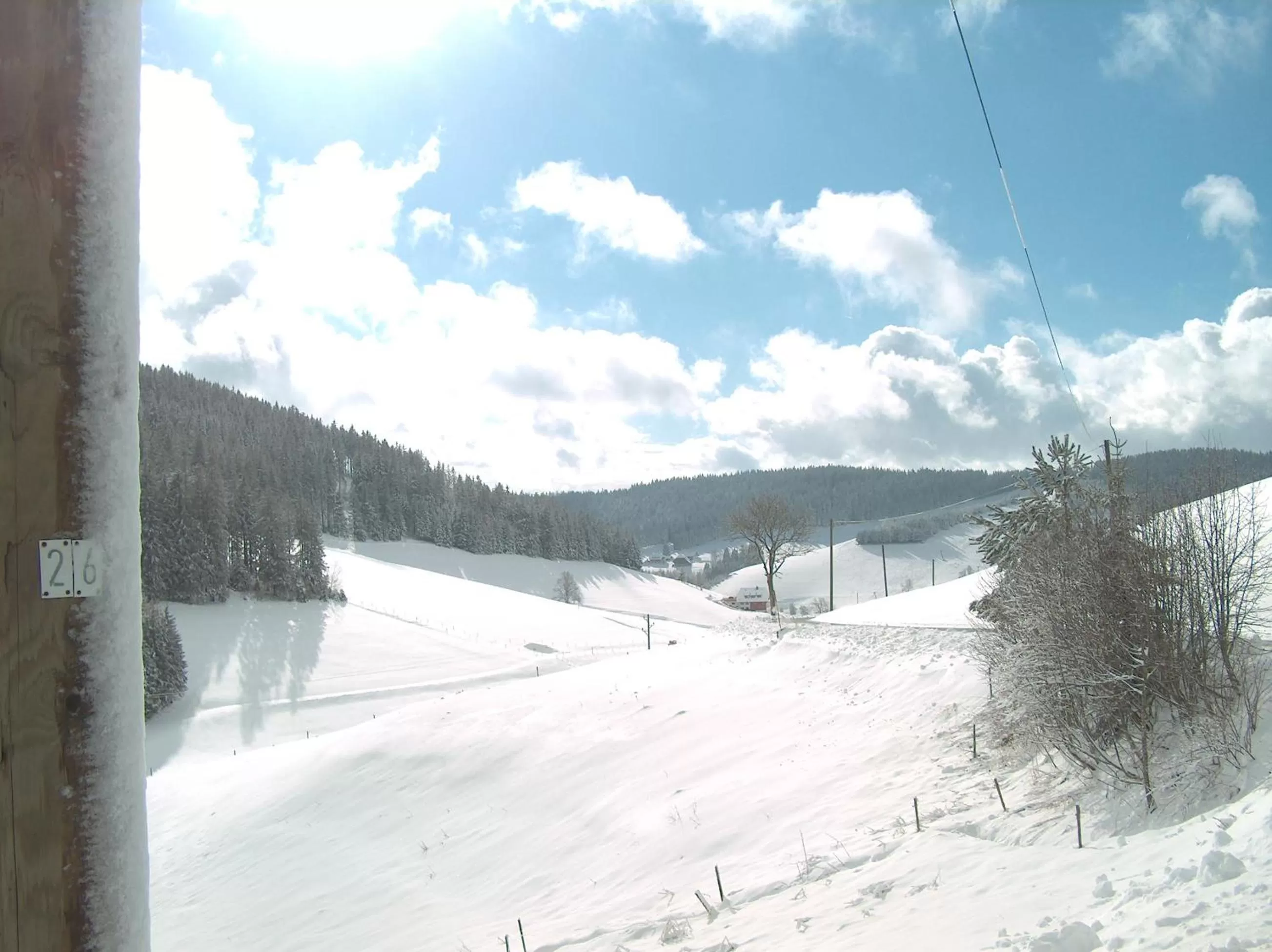 Natural landscape in ZUR TRAUBE Schwarzwaldhotel & Restaurant am Titisee
