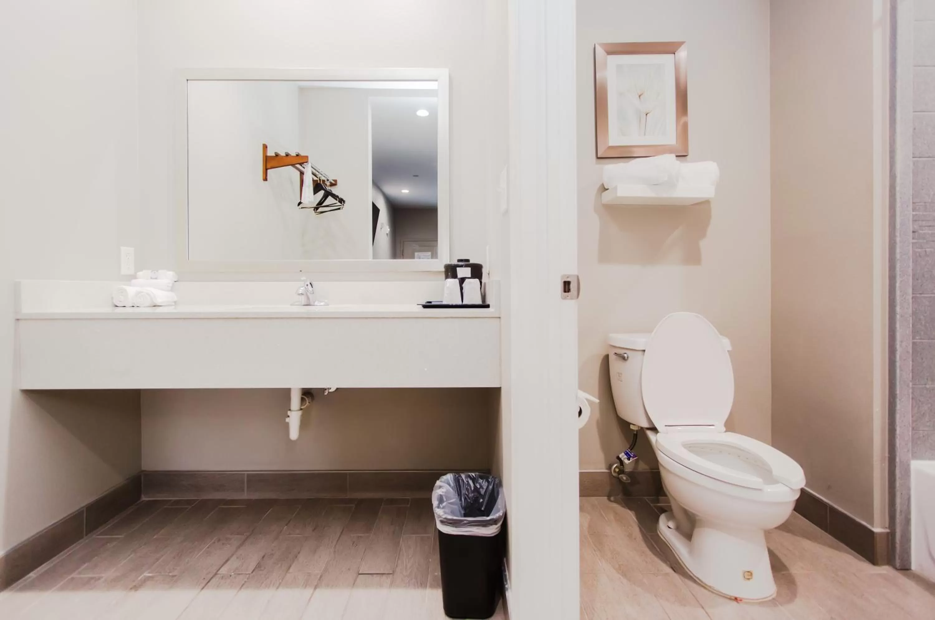 Bathroom in Express Inn - Spring