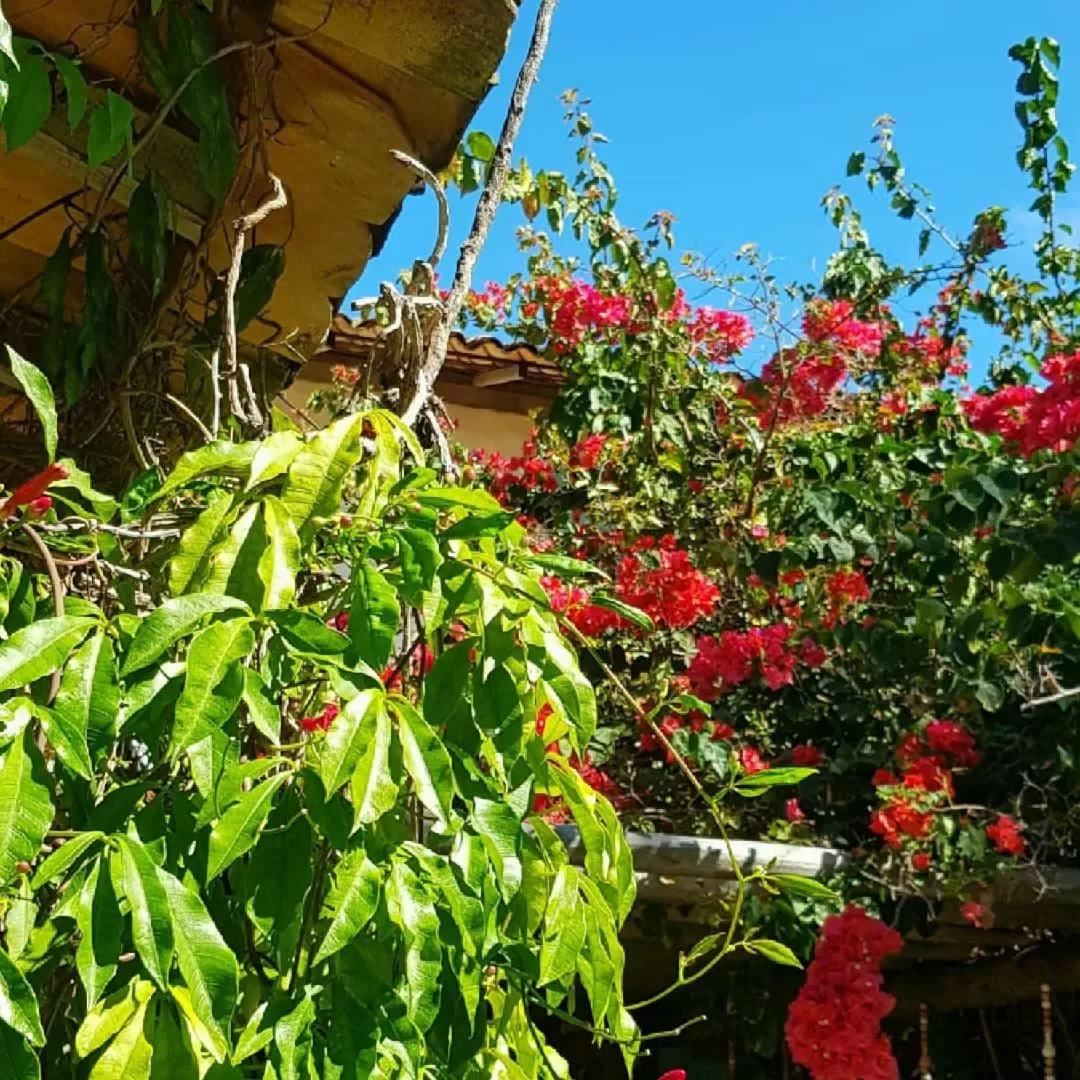 Garden in Pousada Villages Boutique Hotel