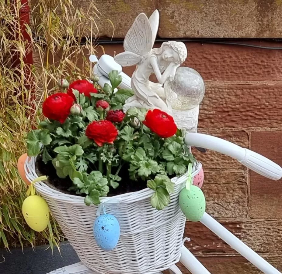 Garden in St Leonards Guest House
