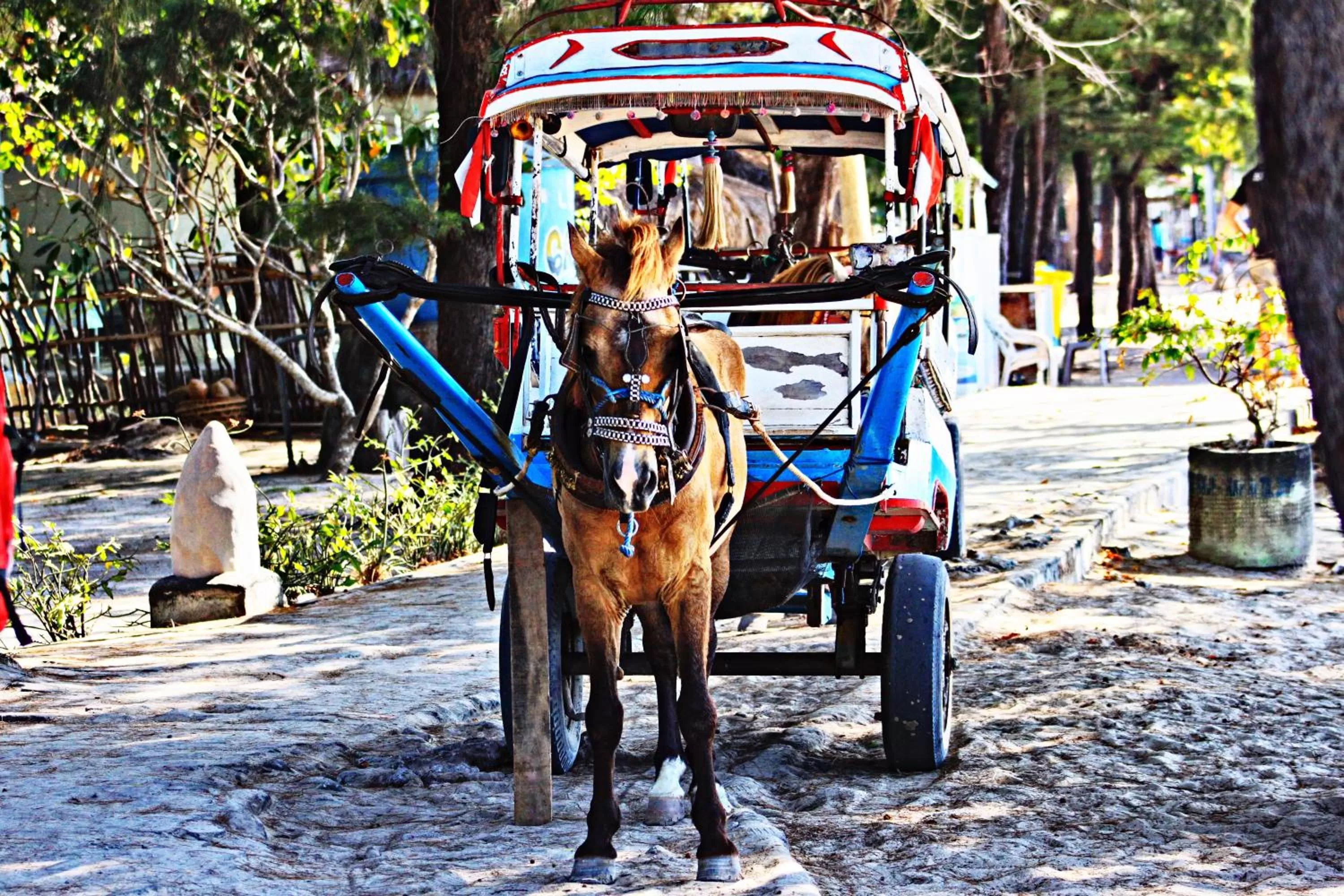 Off site in Meno Dream Resort