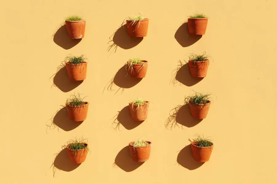 Decorative detail in Treetops Guesthouse