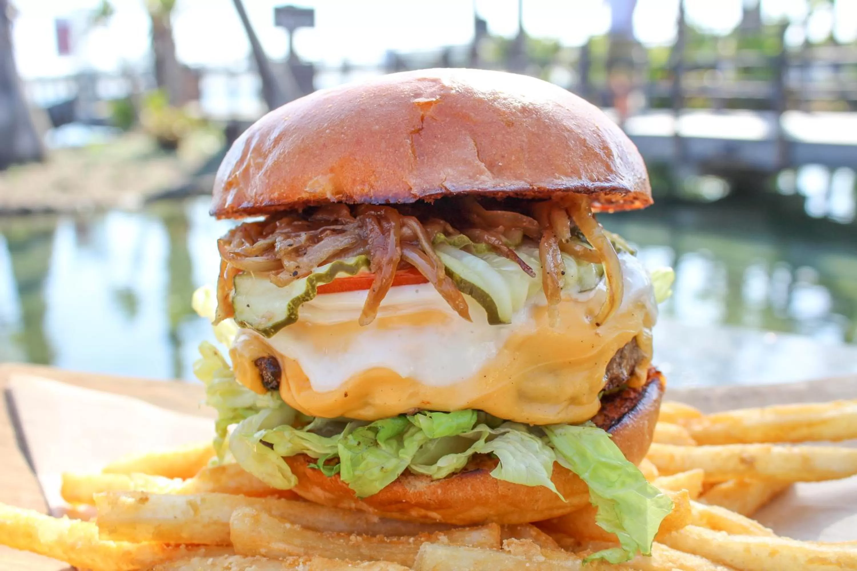 Food close-up in Paradise Point Resort & Spa