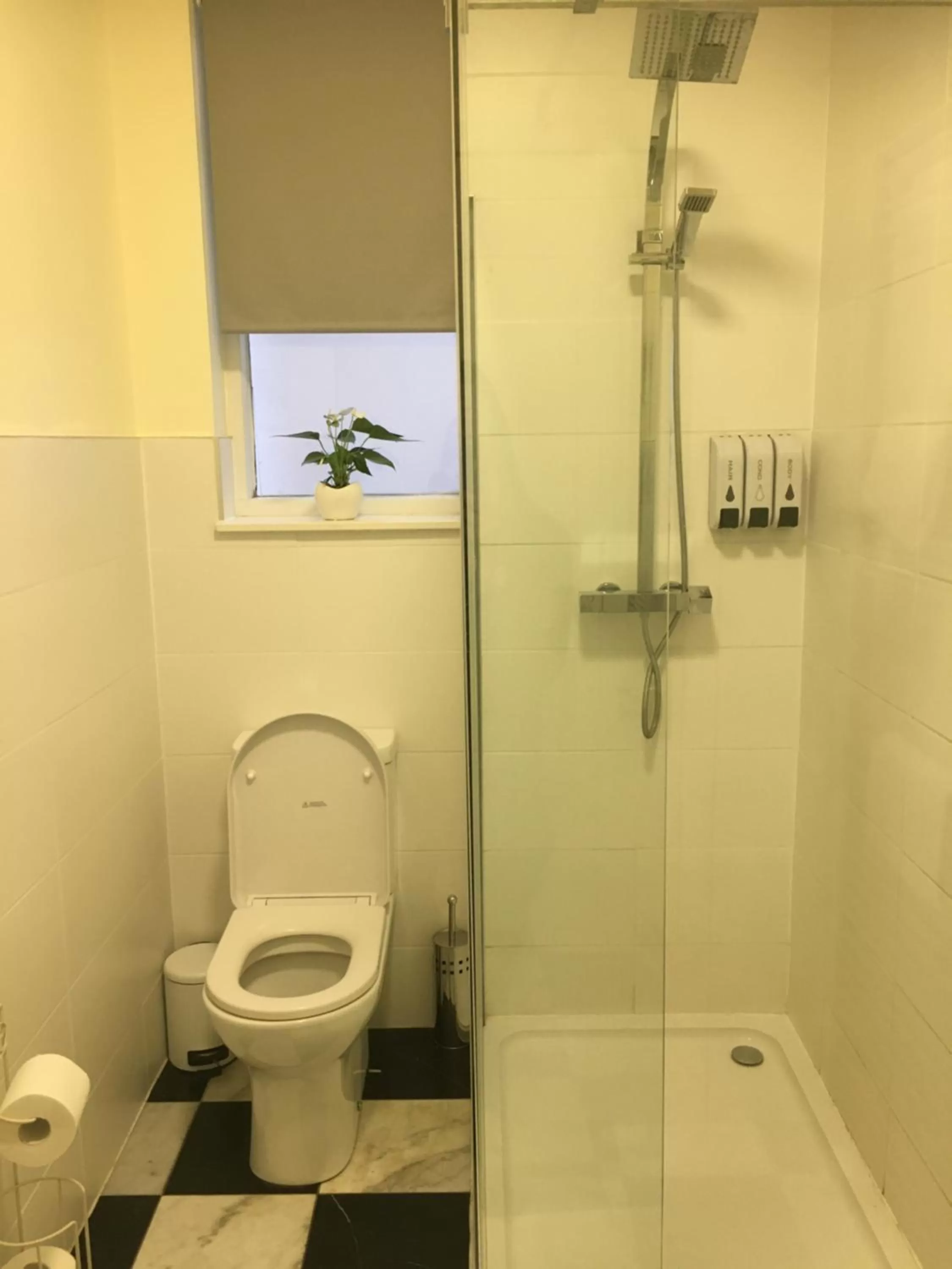 Shower in The Ship Inn