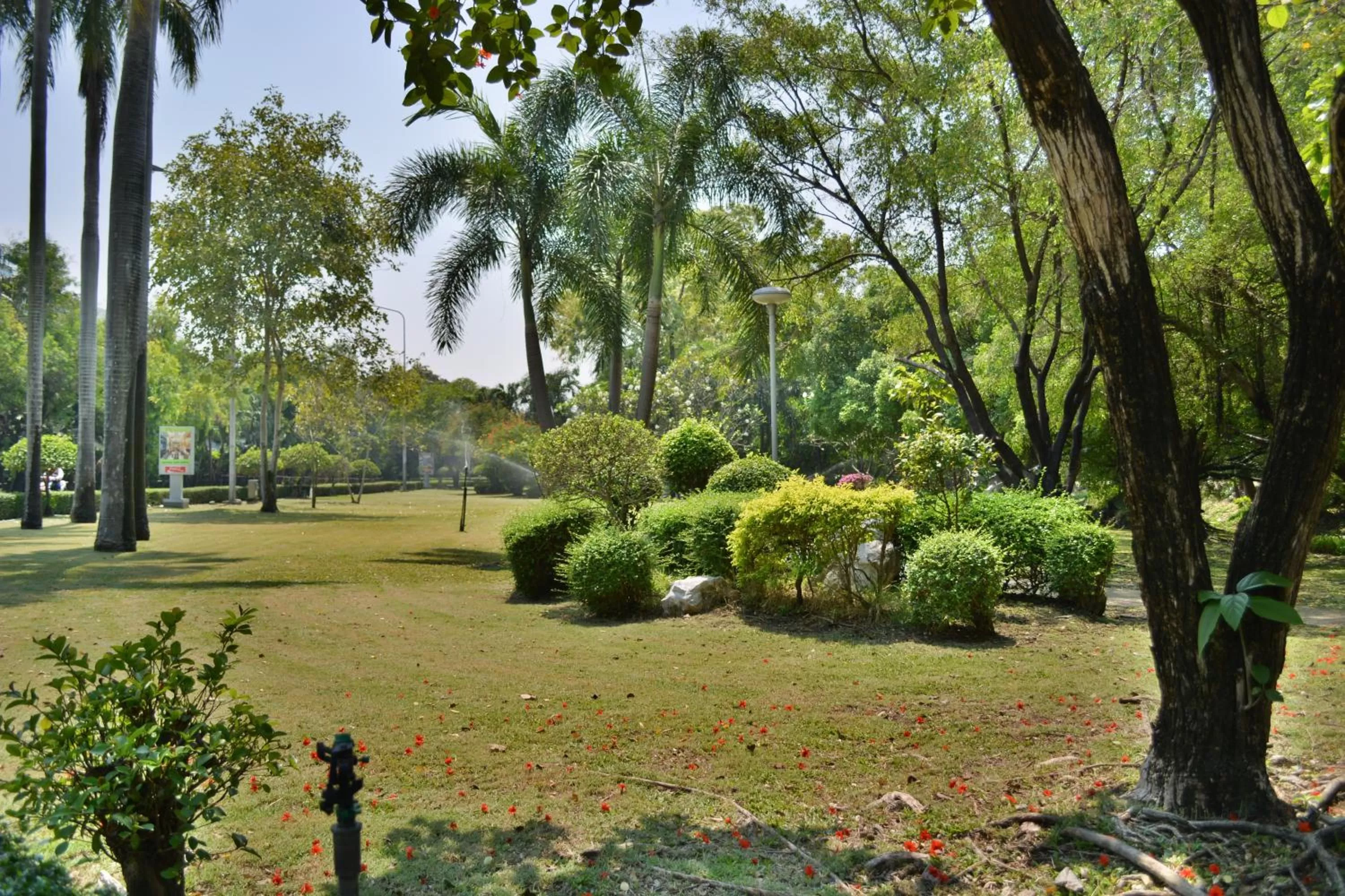 Garden in Rama Gardens Hotel Bangkok