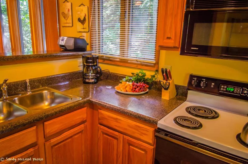 Kitchen or kitchenette, Kitchen/Kitchenette in Asheville Cabins of Willow Winds