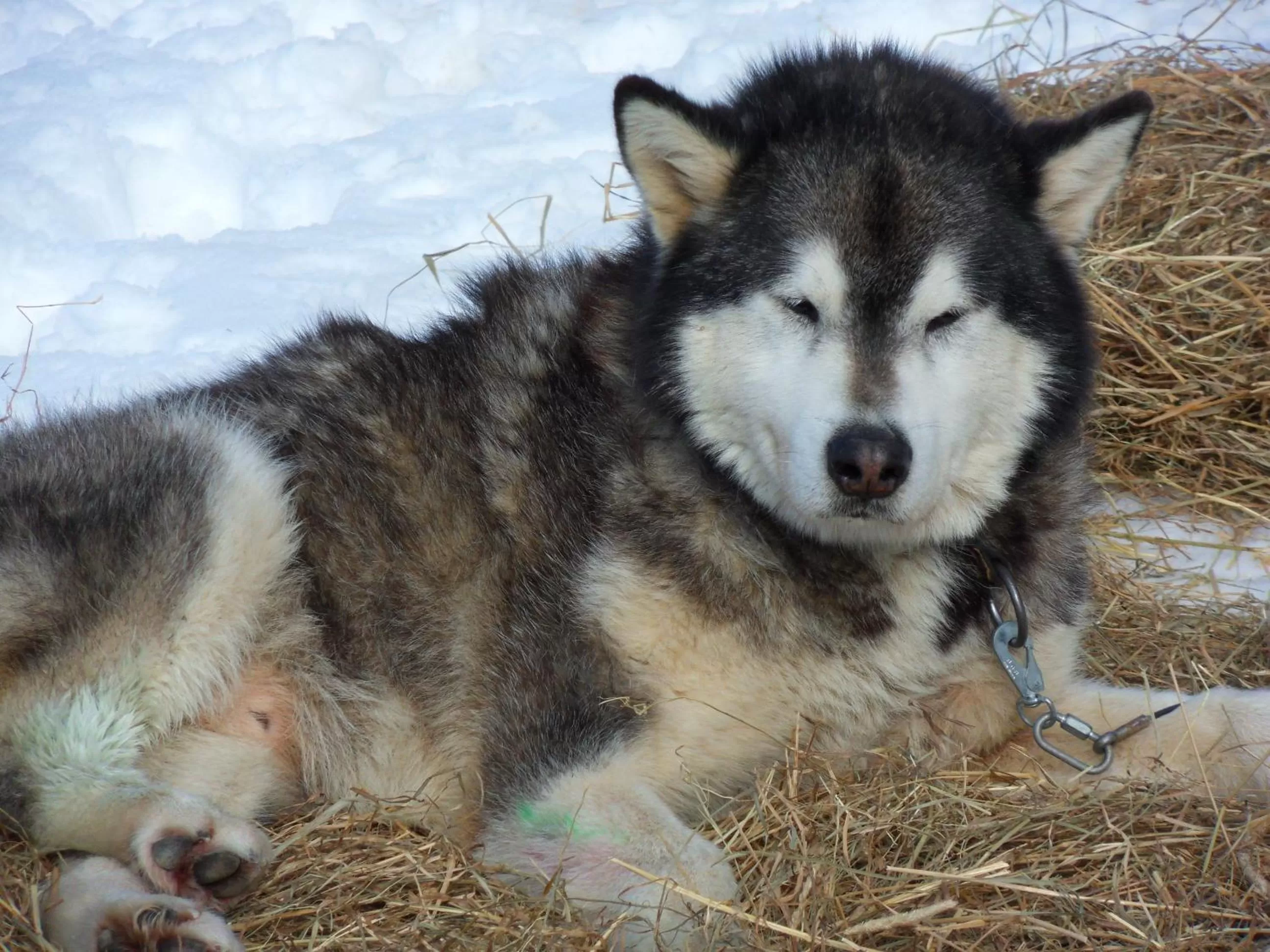 Other in L'Estapade des Tourelons