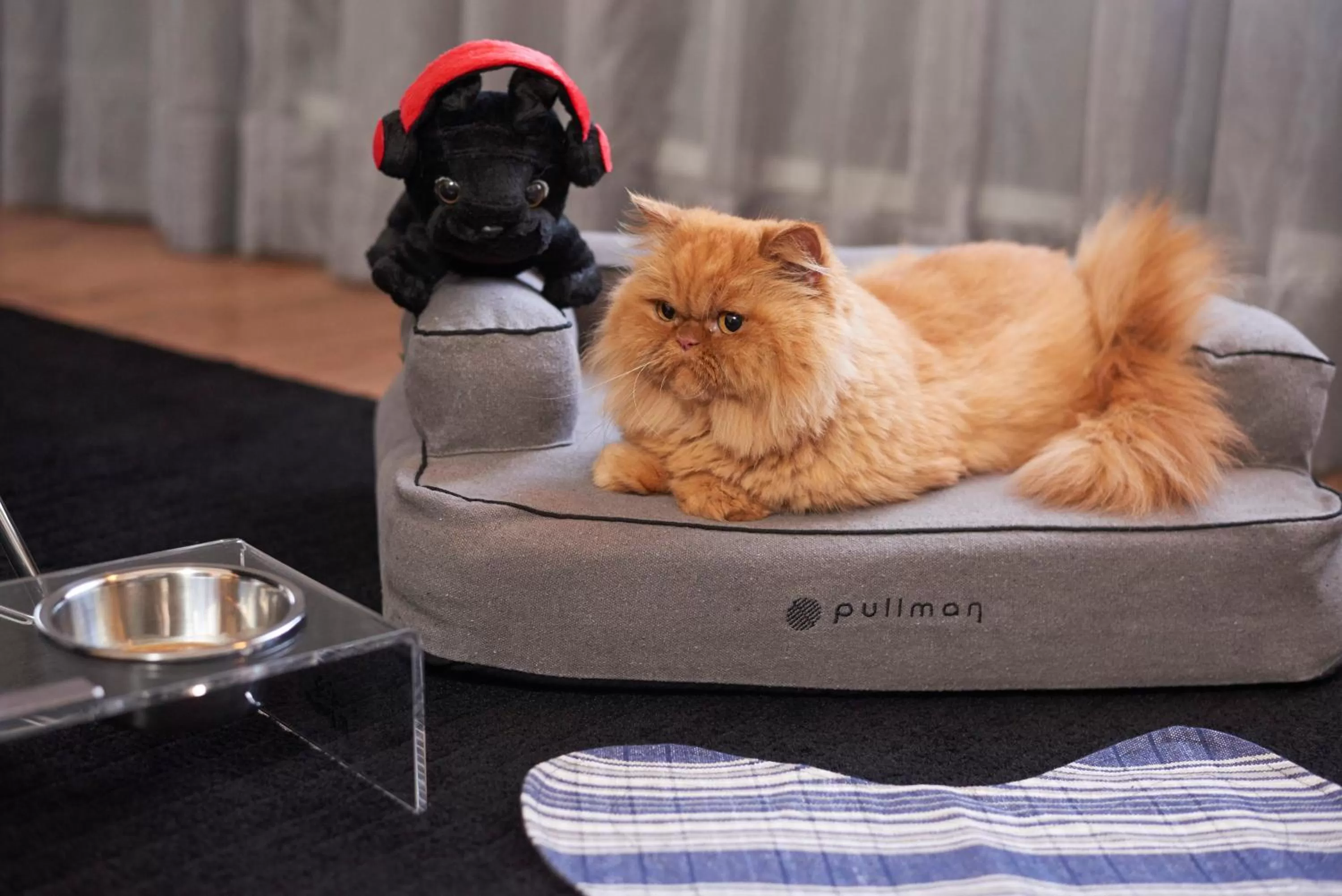 Animals in Pullman Sao Paulo Ibirapuera