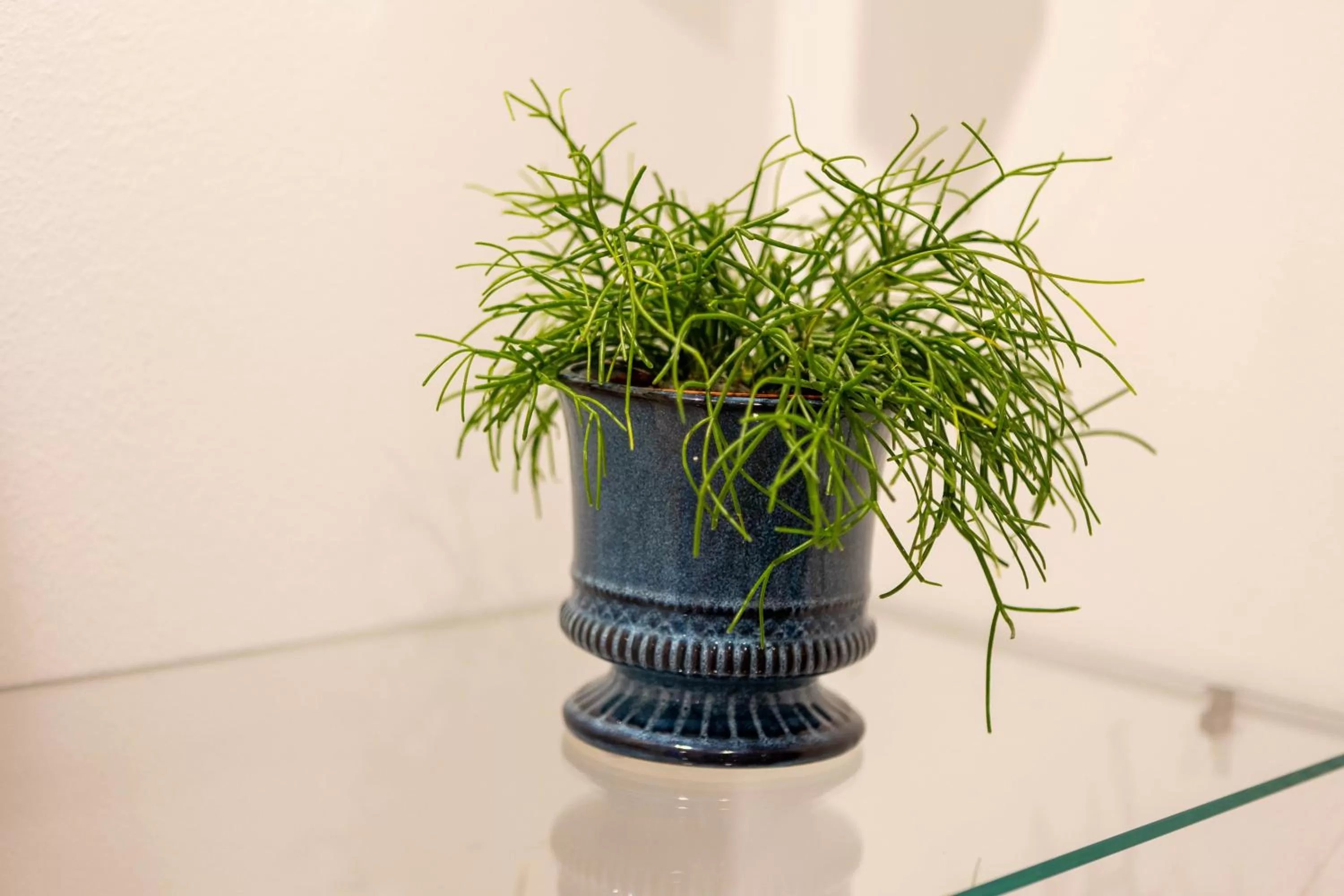 Lobby or reception in City and Style Luxury Rooms Split