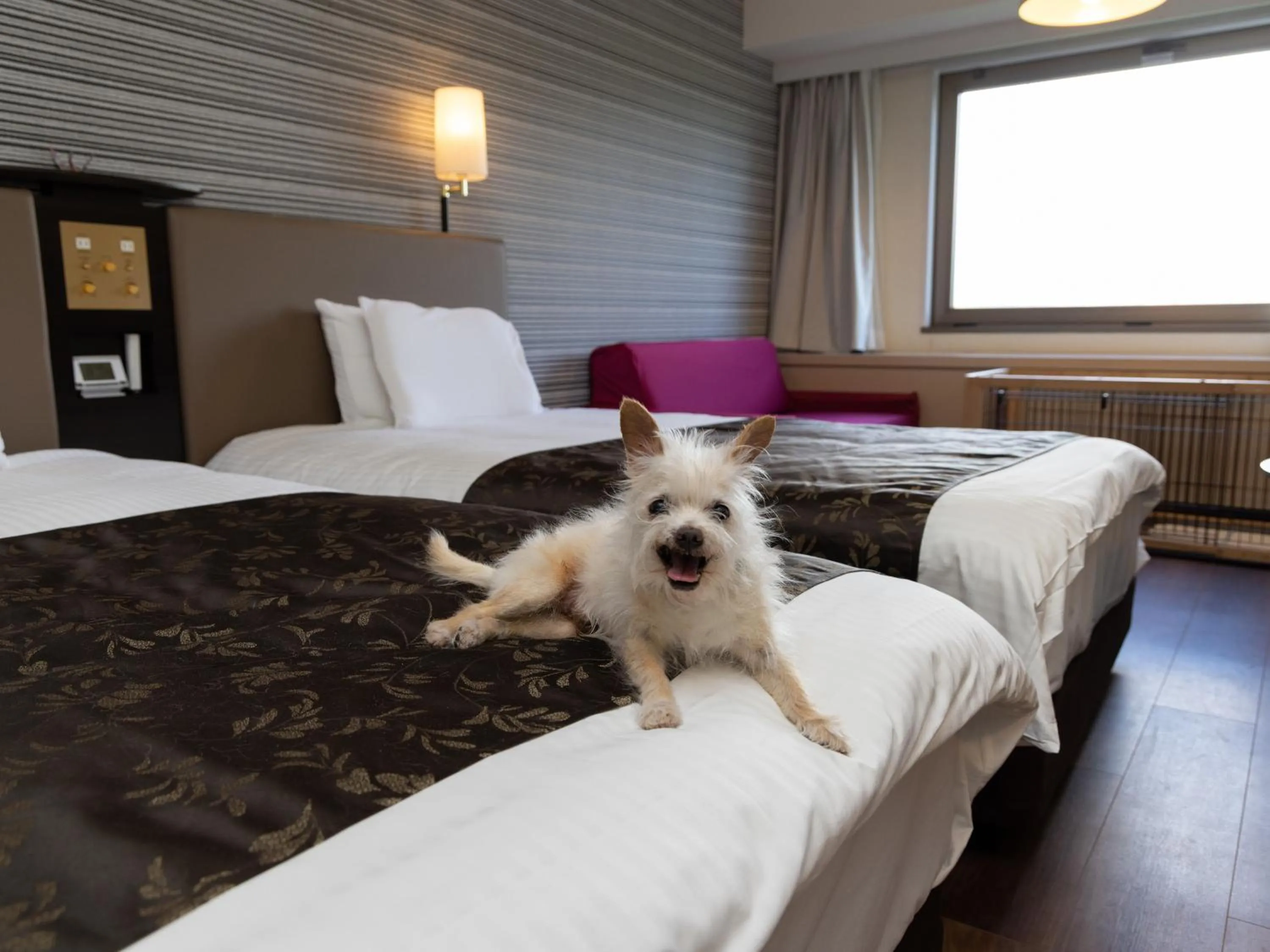 Animals, Bed in APA Hotel & Resort Joetsu Myoko
