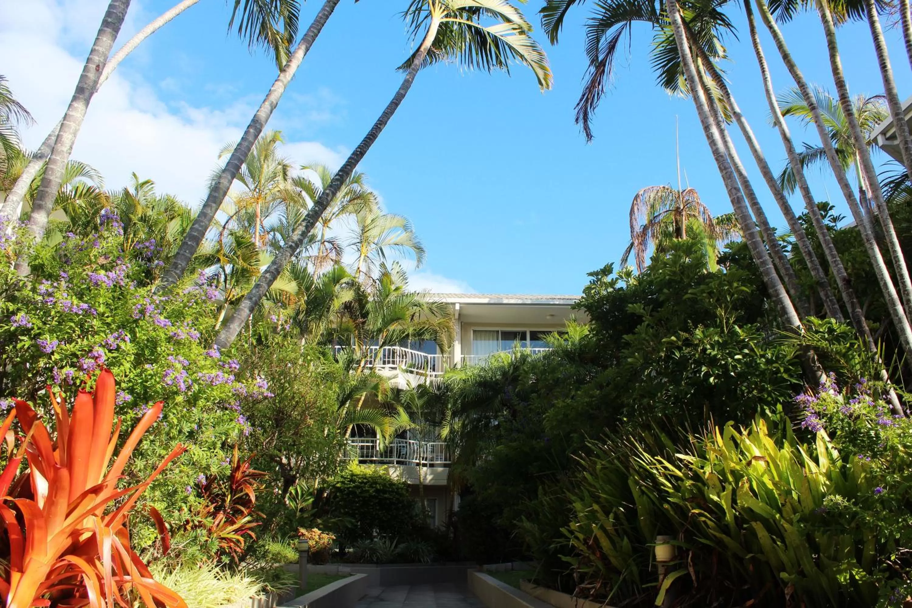 Property building in Surfers Del Rey