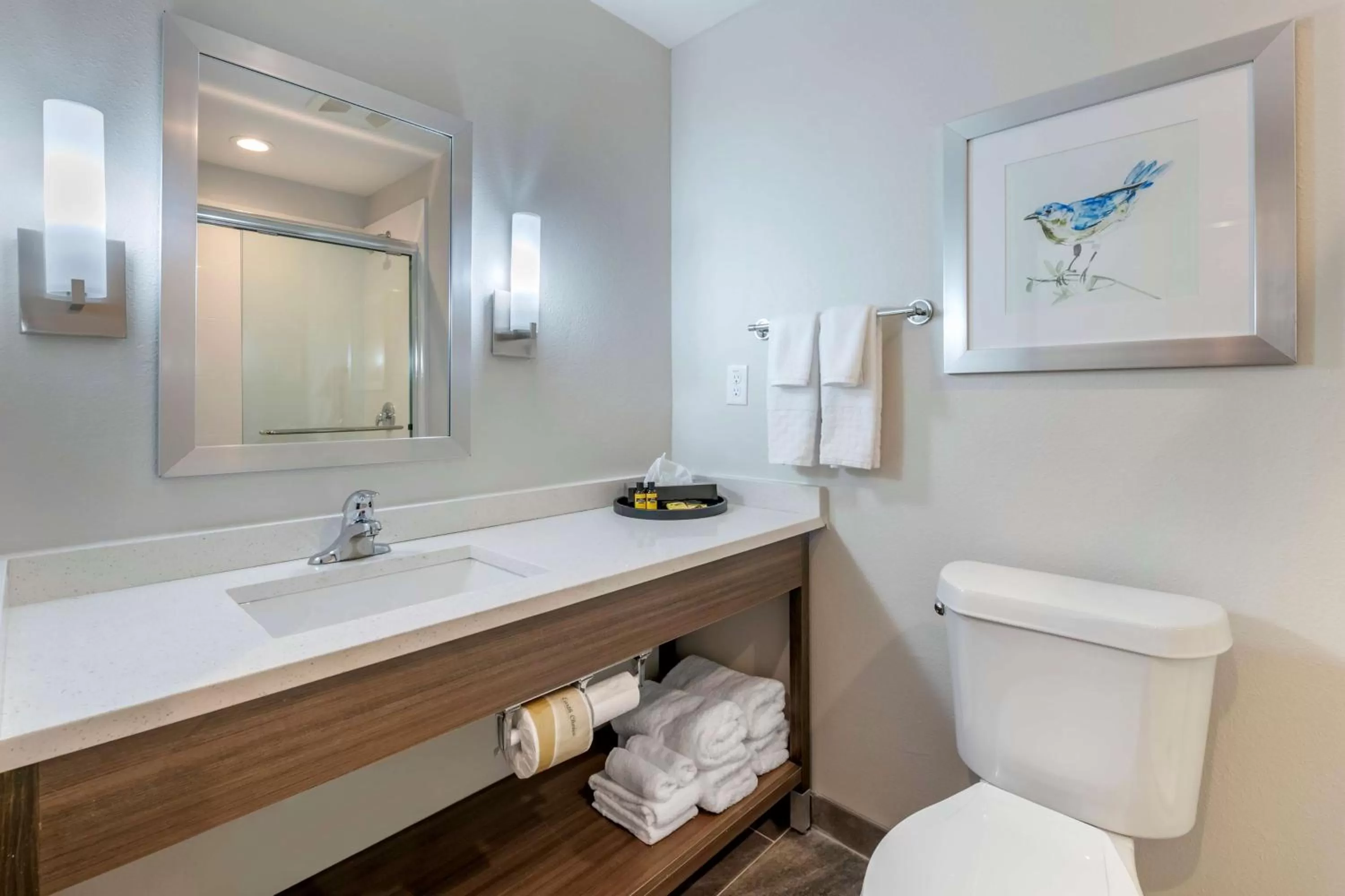 Bathroom in Best Western Plus Lakeland