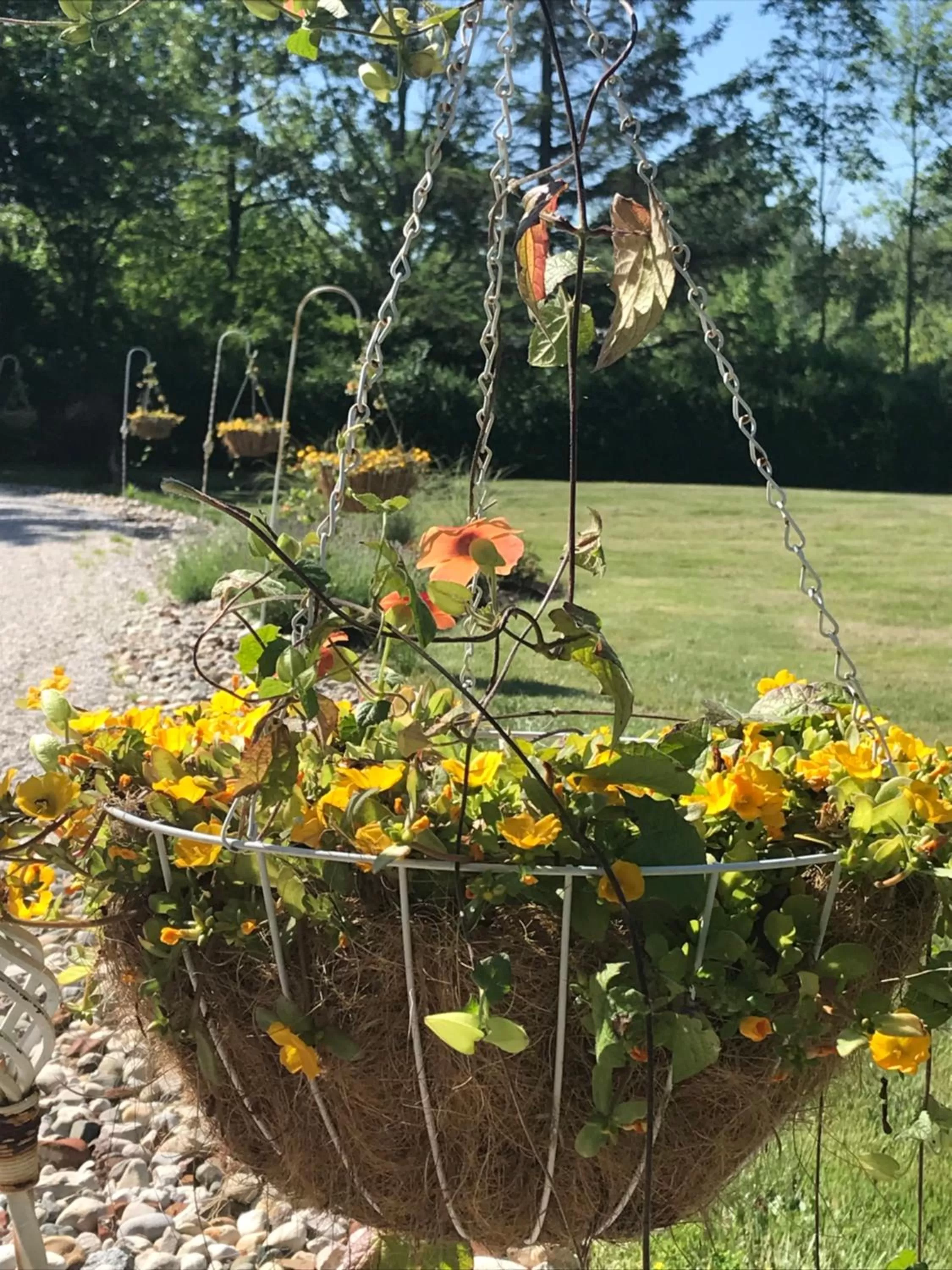 Property building in Martha's Vineyard B & B