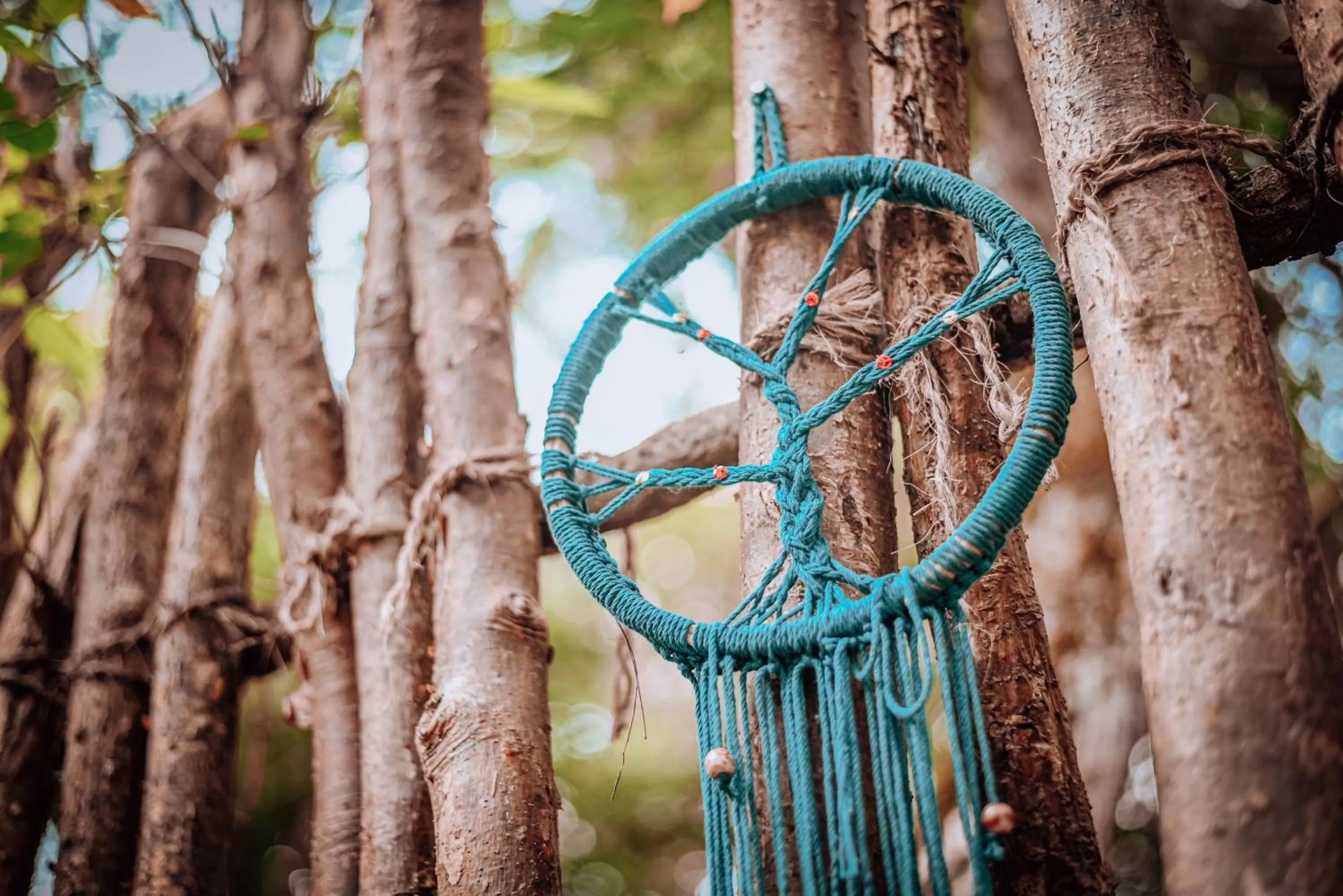 Decorative detail, Other Activities in Lunita Jungle Experience