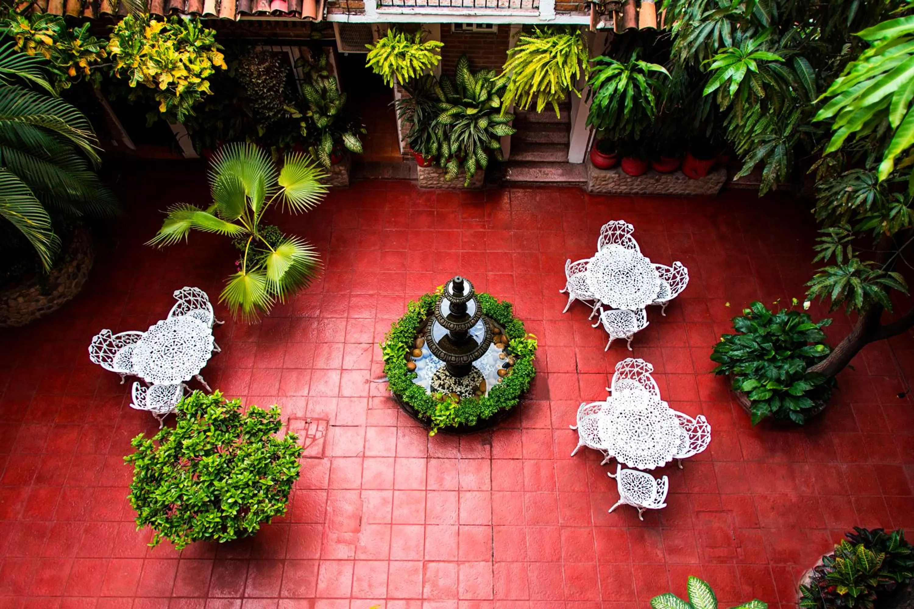 Patio in Hotel Posada De Roger - Near Los Muertos Beach