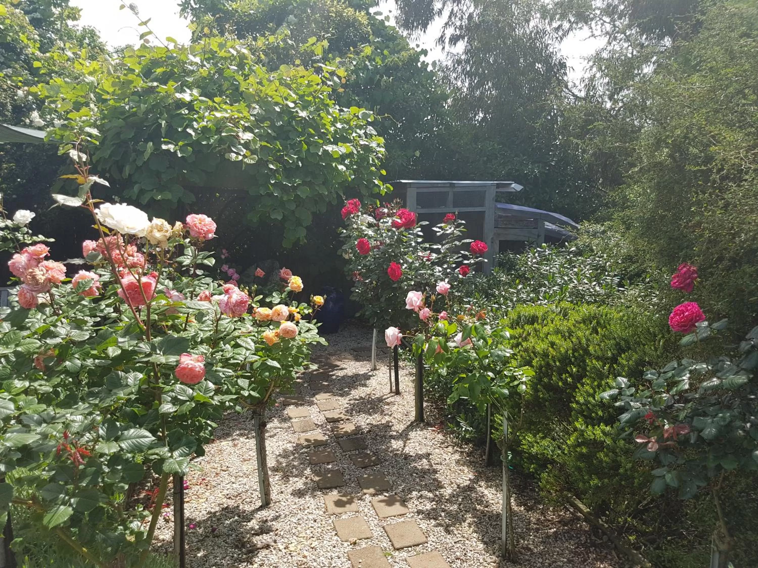 Property Building in Olde Mill House B&B & Bike2Wine cycle hire