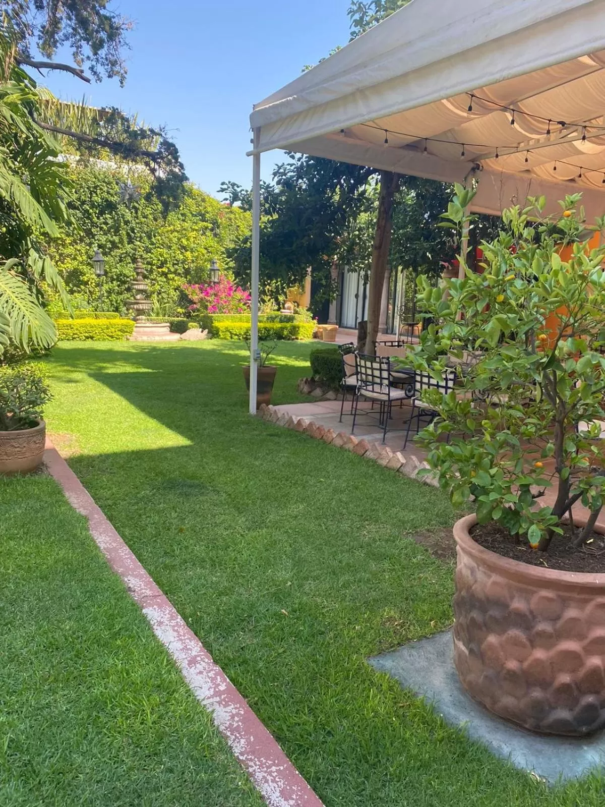 Garden in Hacienda de las Flores