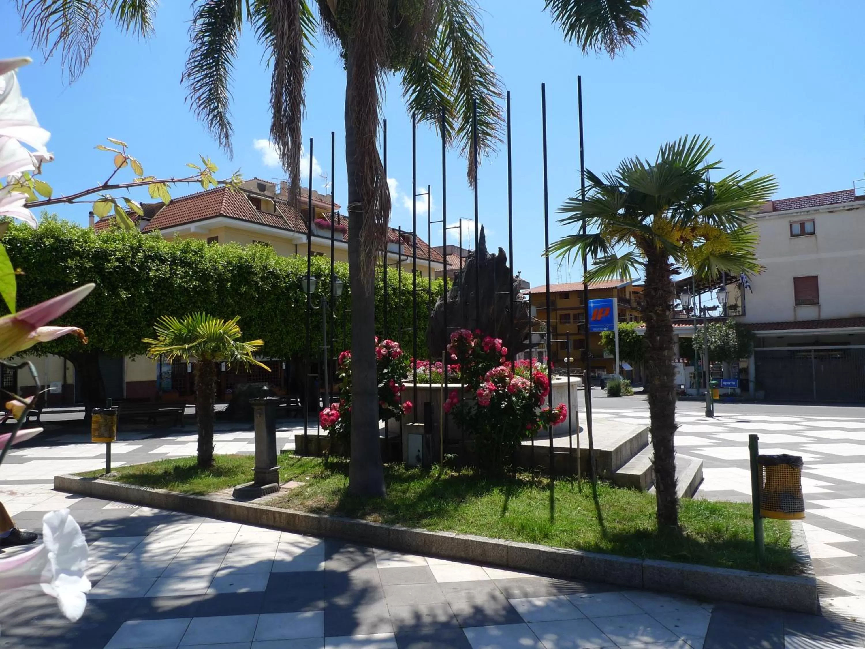 Area and facilities in Hotel Alexander